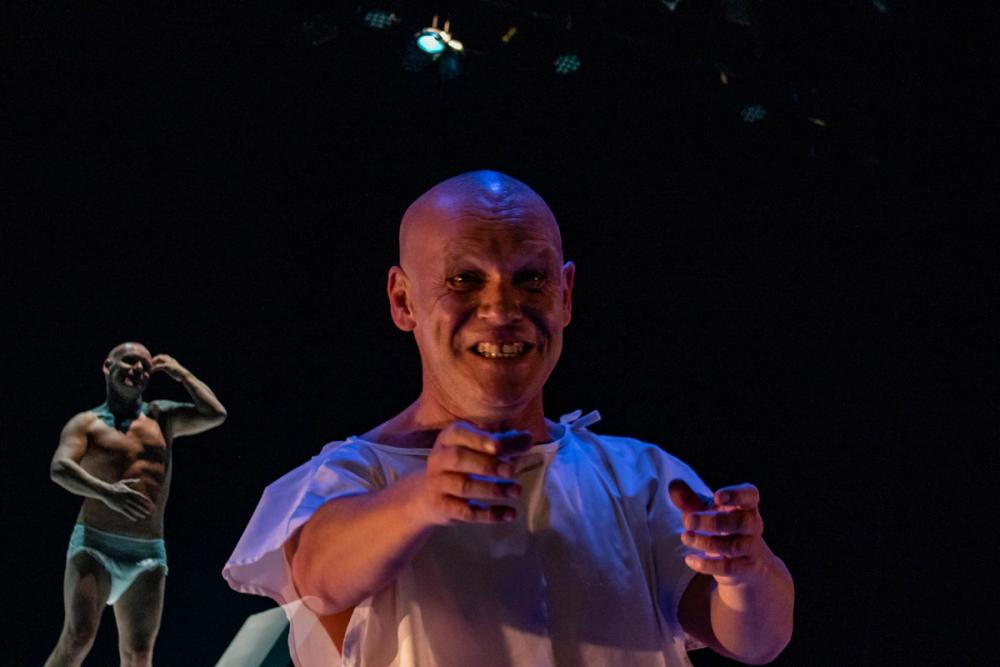 El alimento de las moscas FITM 2025