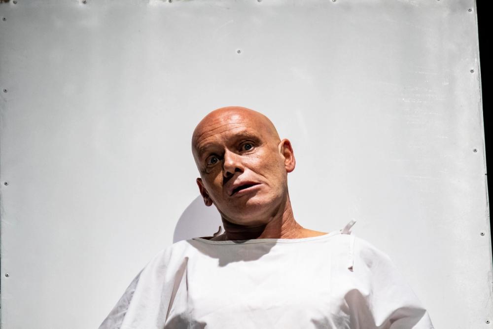 El alimento de las moscas FITM 2025