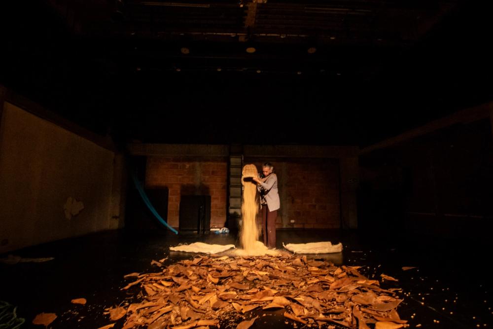 El ojo de la casa FITM 2025