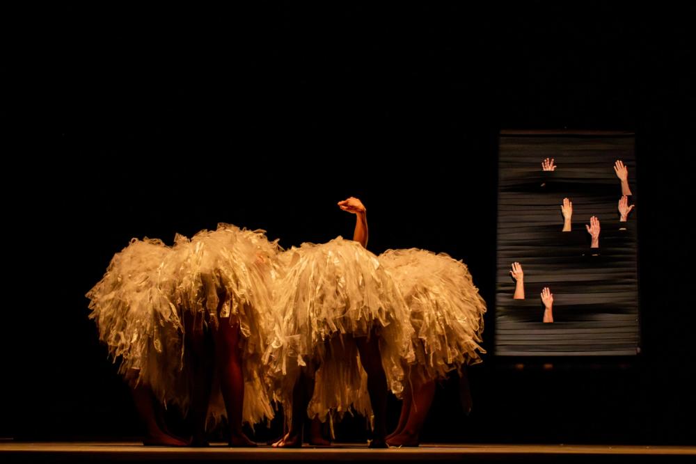 Pareidolia FITM 2025