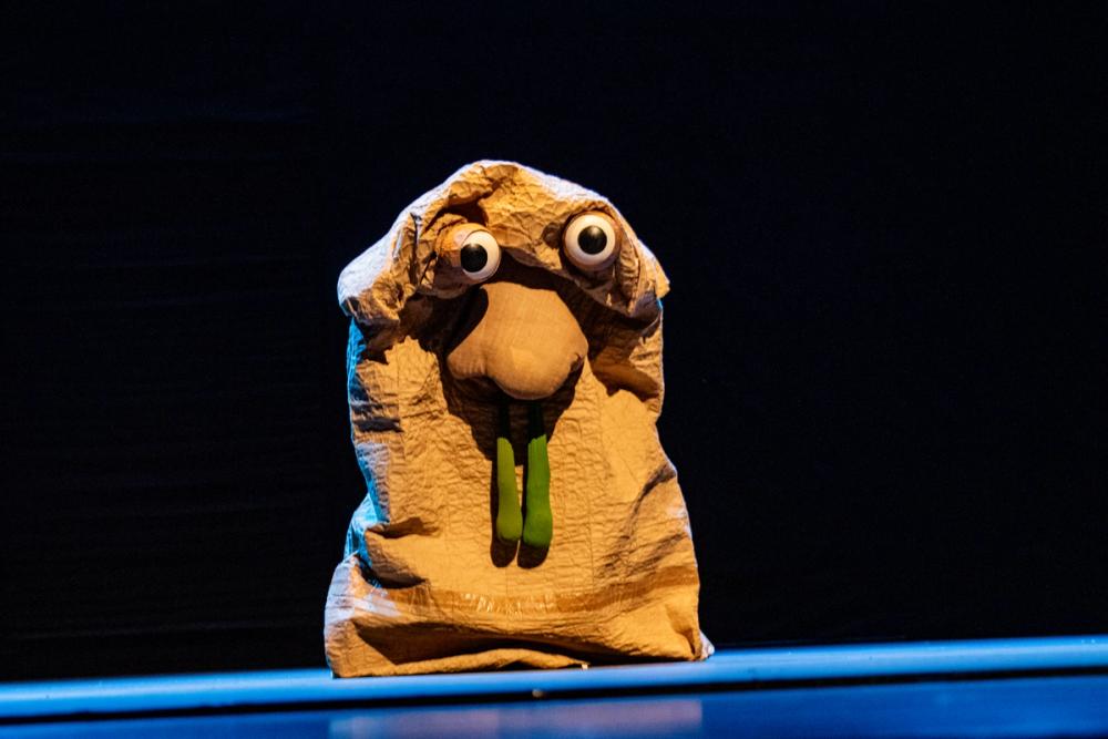 Pareidolia FITM 2025