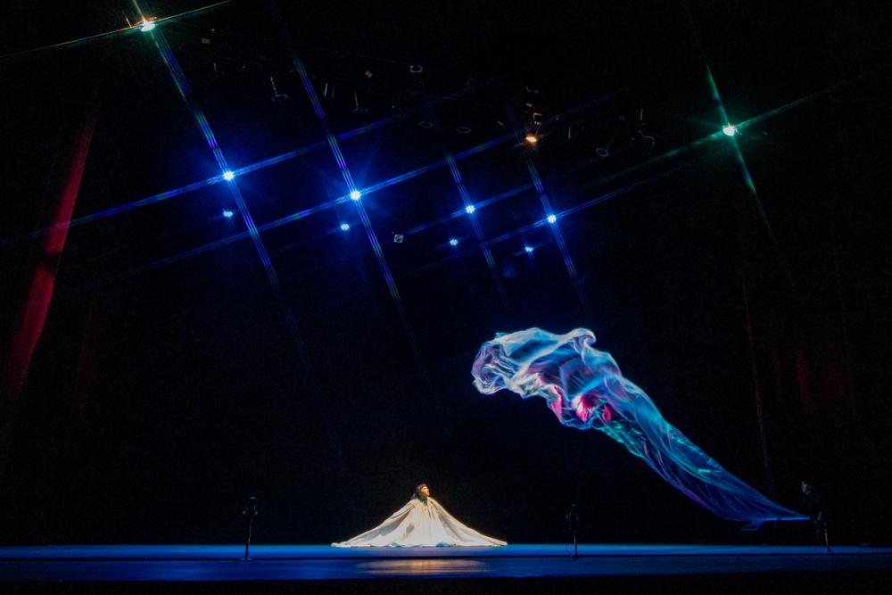 Pareidolia FITM 2025