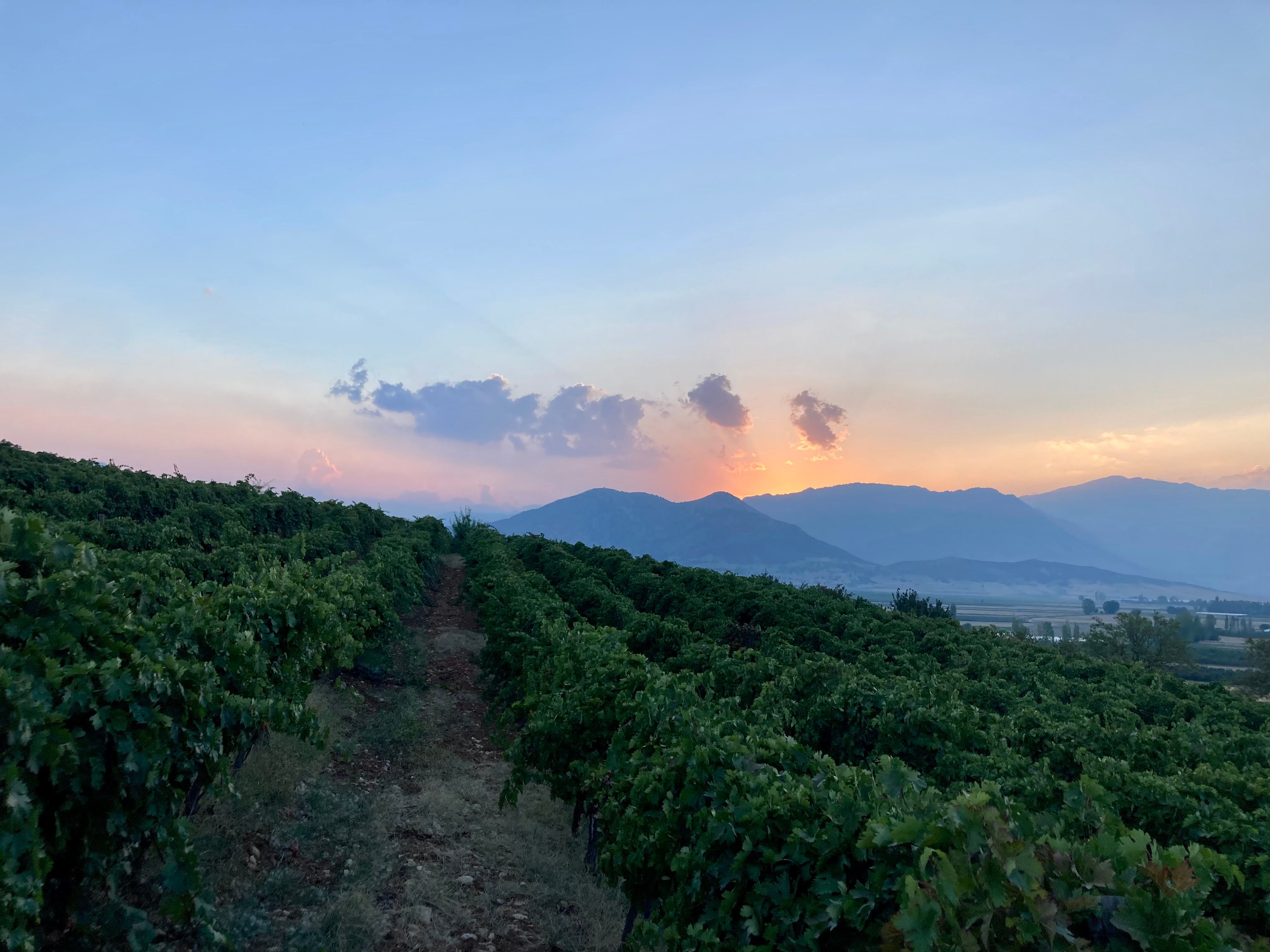 Likya Winery — 1/6