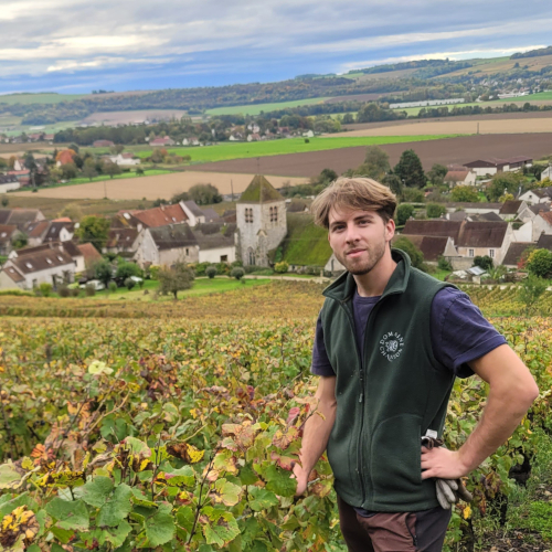 Champagne Adrien Salot — 1/2
