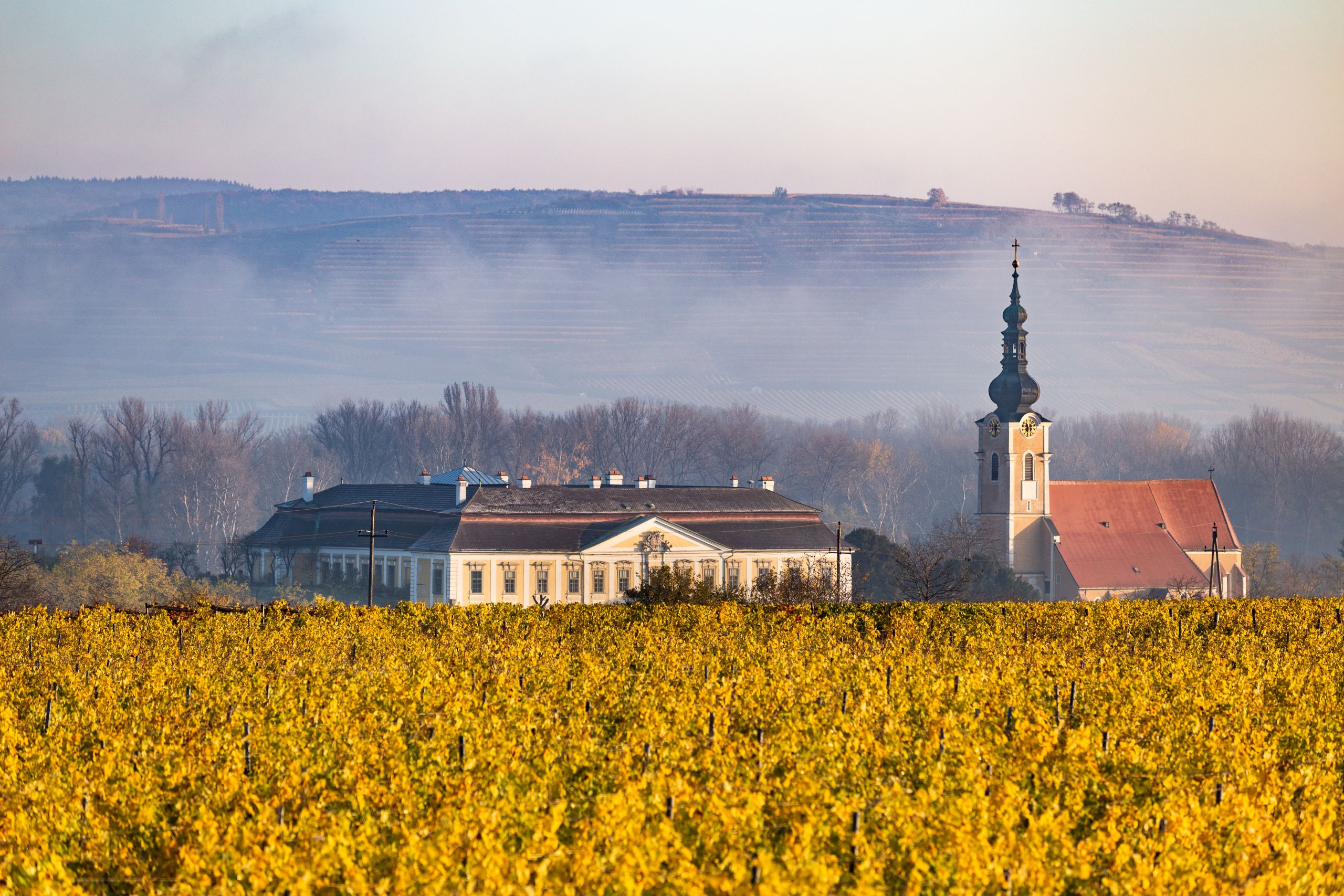 Schloss Gobelsburg 