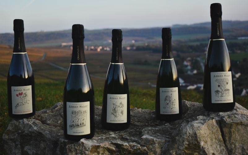 Champagne Adrien Salot — 2/2