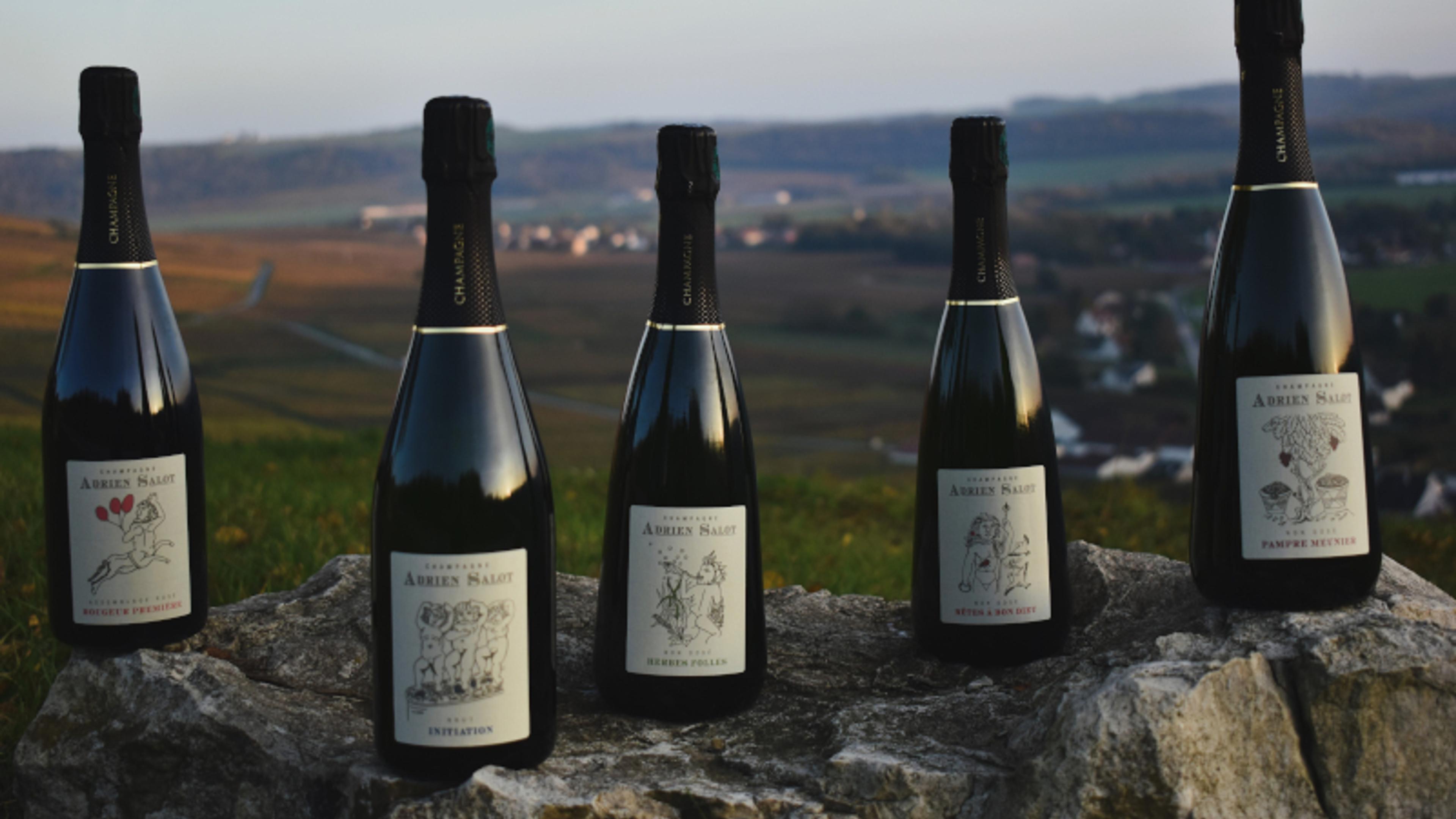 Champagne Adrien Salot — 2/2