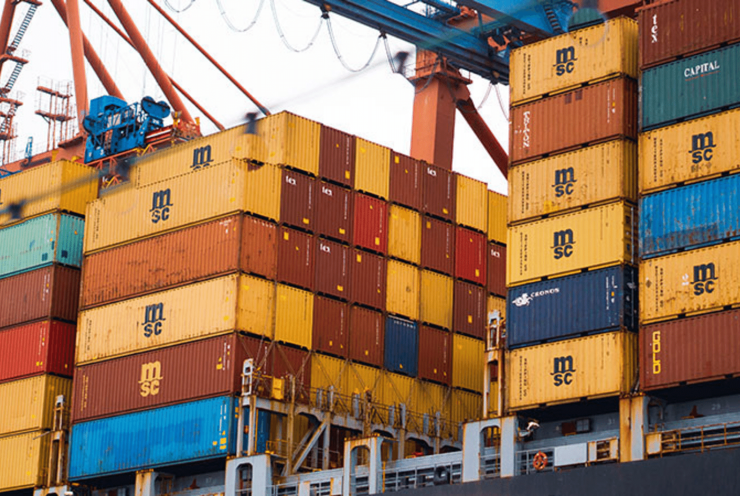 Cargo containers in a shipyard, Freight Forwarders, Shippers: Creating Long-Term Relationships