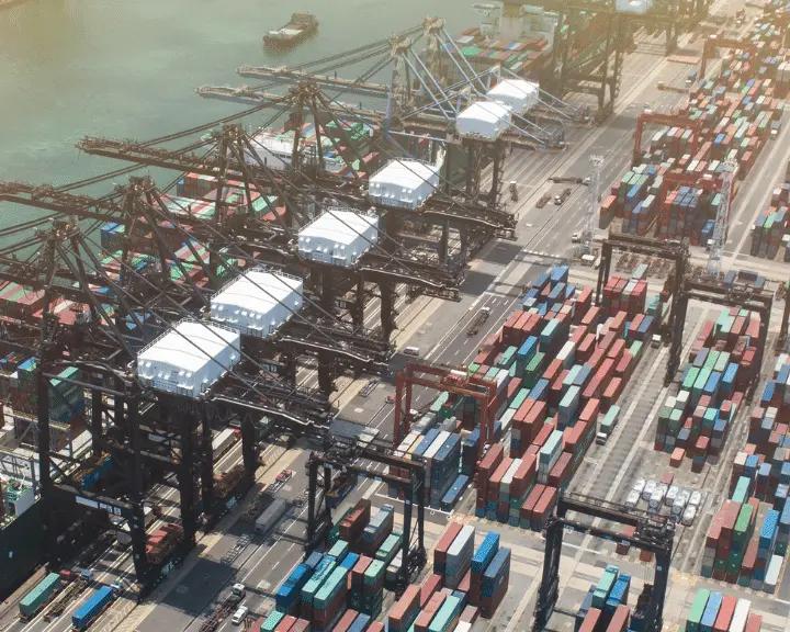 Port being managed through a fully digital supply chain.