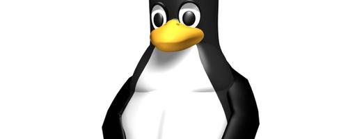 Useful linux commands for web developers