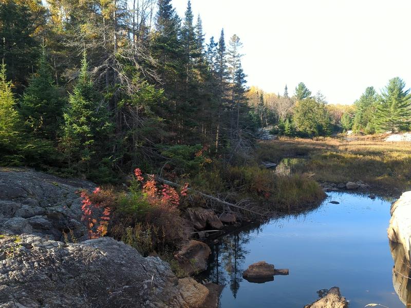 A hidden gem on the way to Silver Peak.