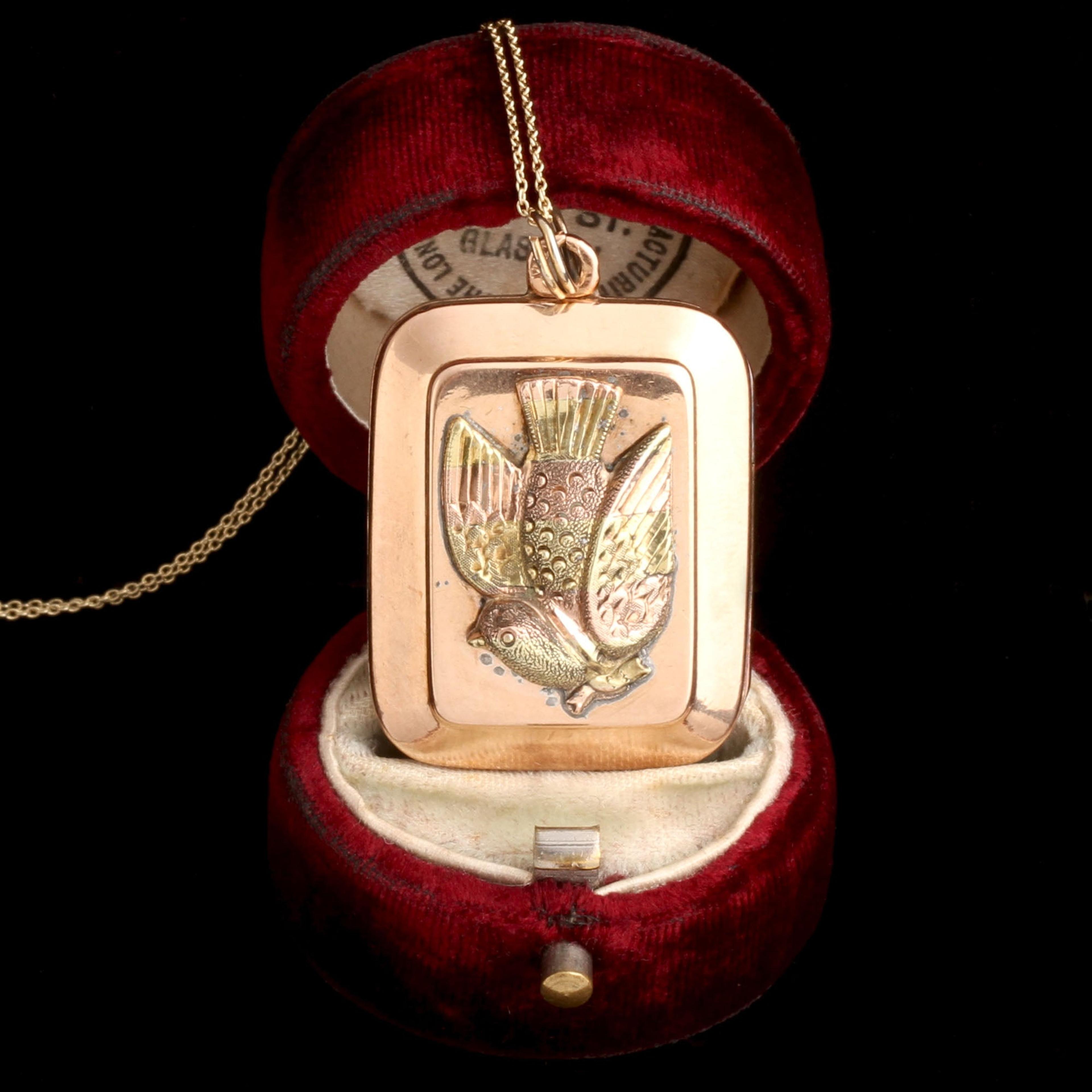 Victorian Dead Bird Locket