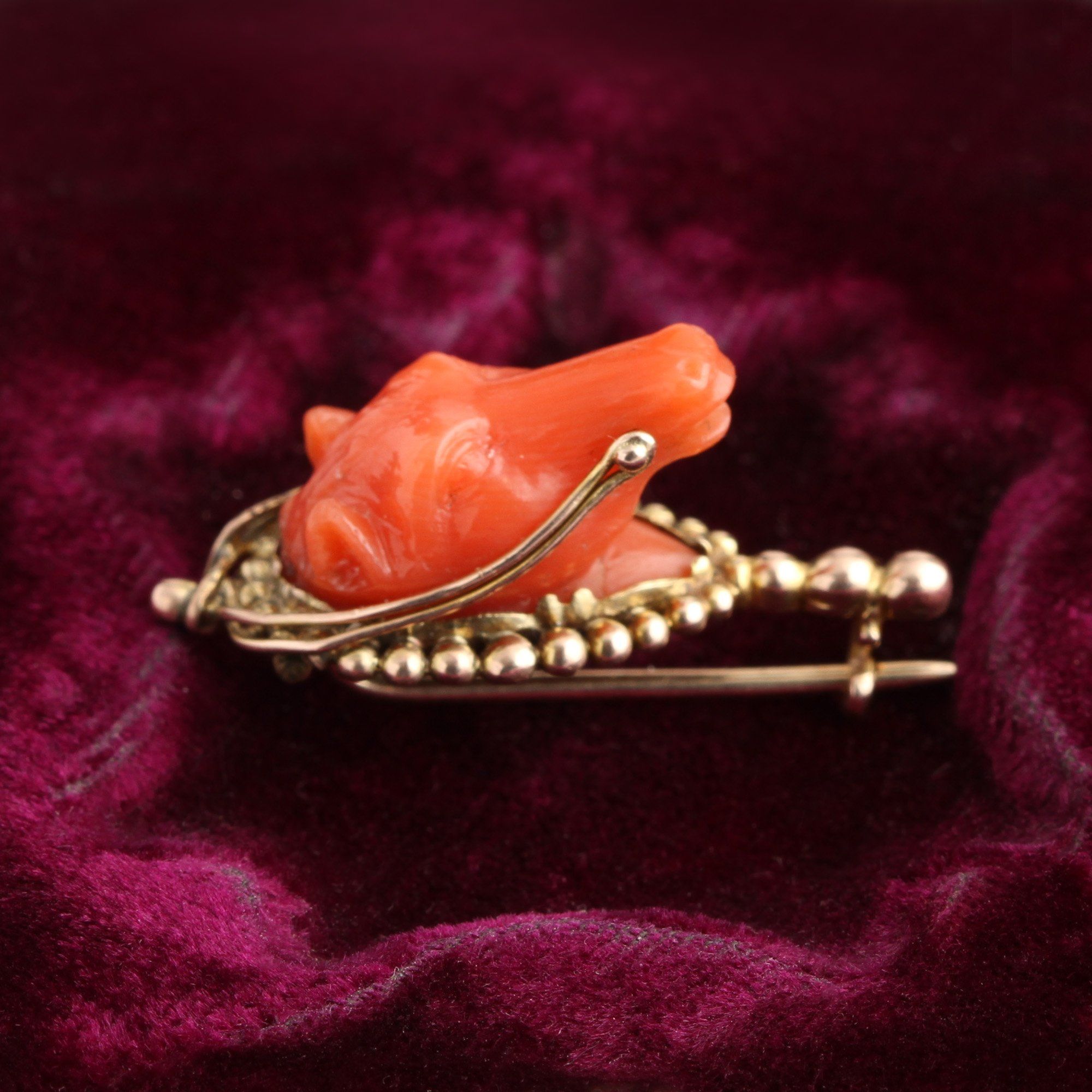 Georgian Carved Coral Horse Head Pin