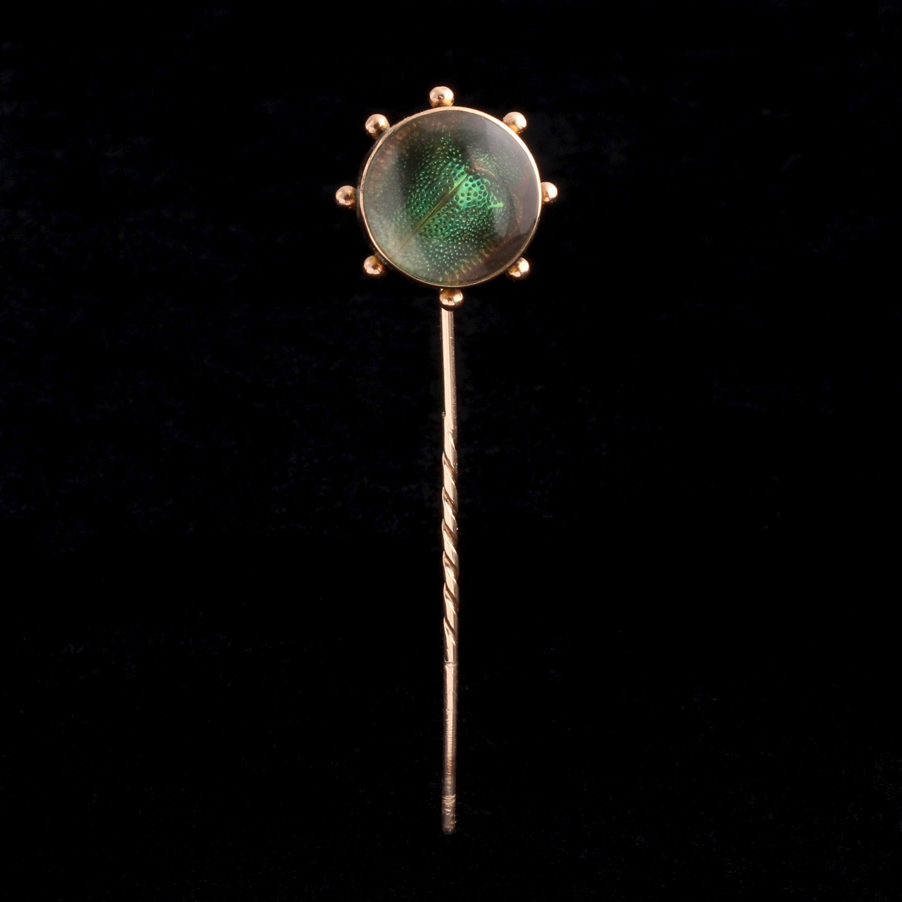 Detail of Victorian Scarab Beetle Stickpin