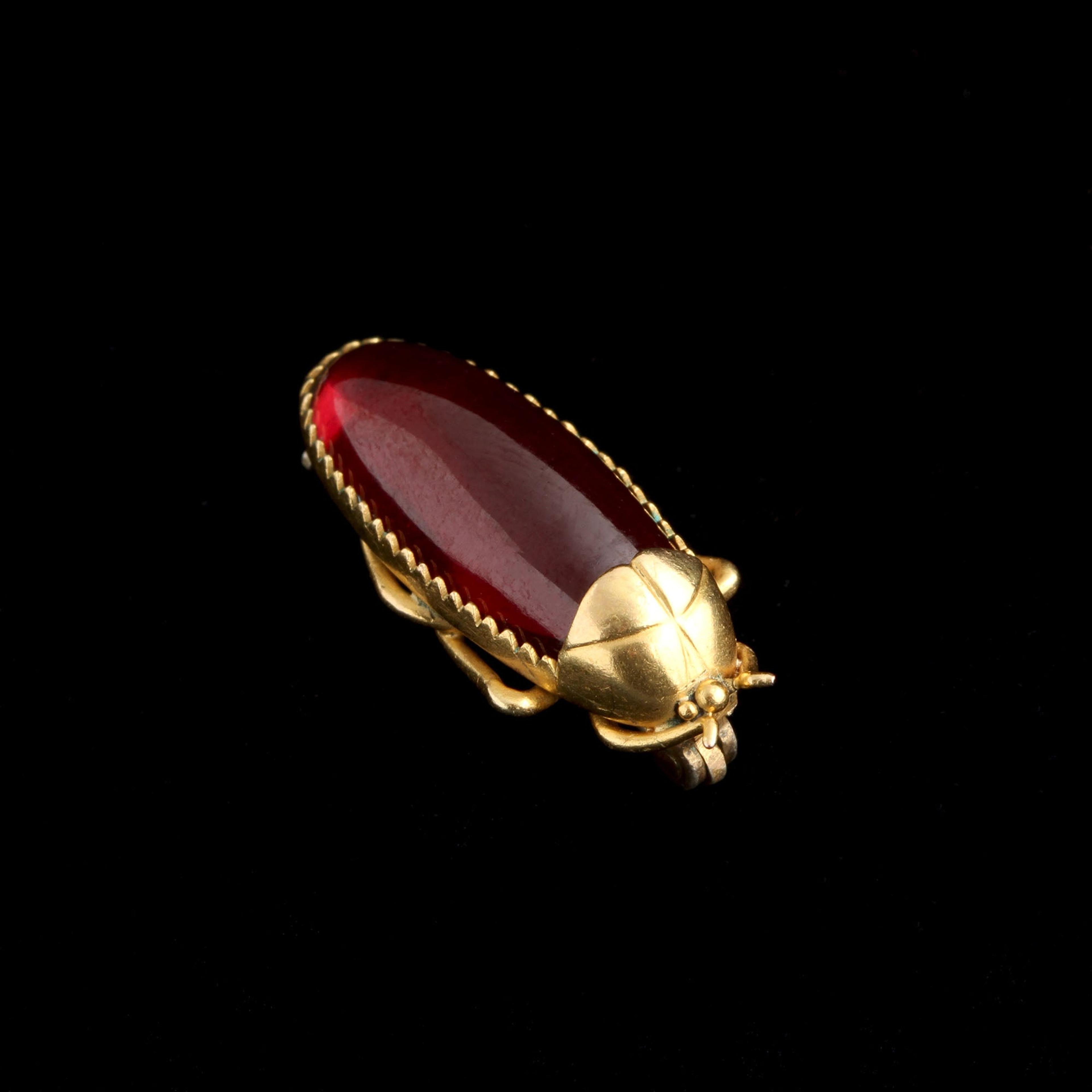 Detail of Victorian Garnet Beetle Brooch