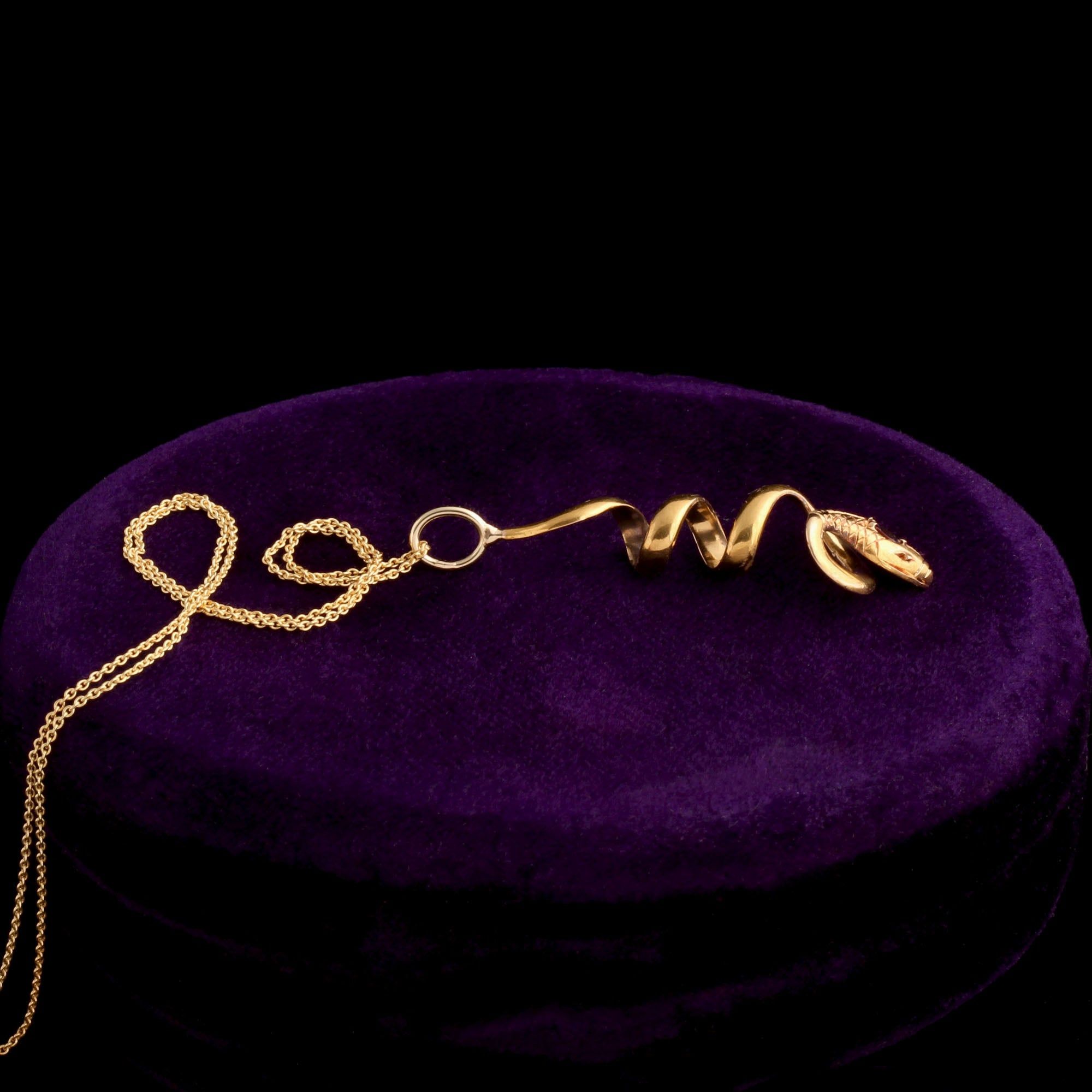 Victorian Coiled Snake Necklace