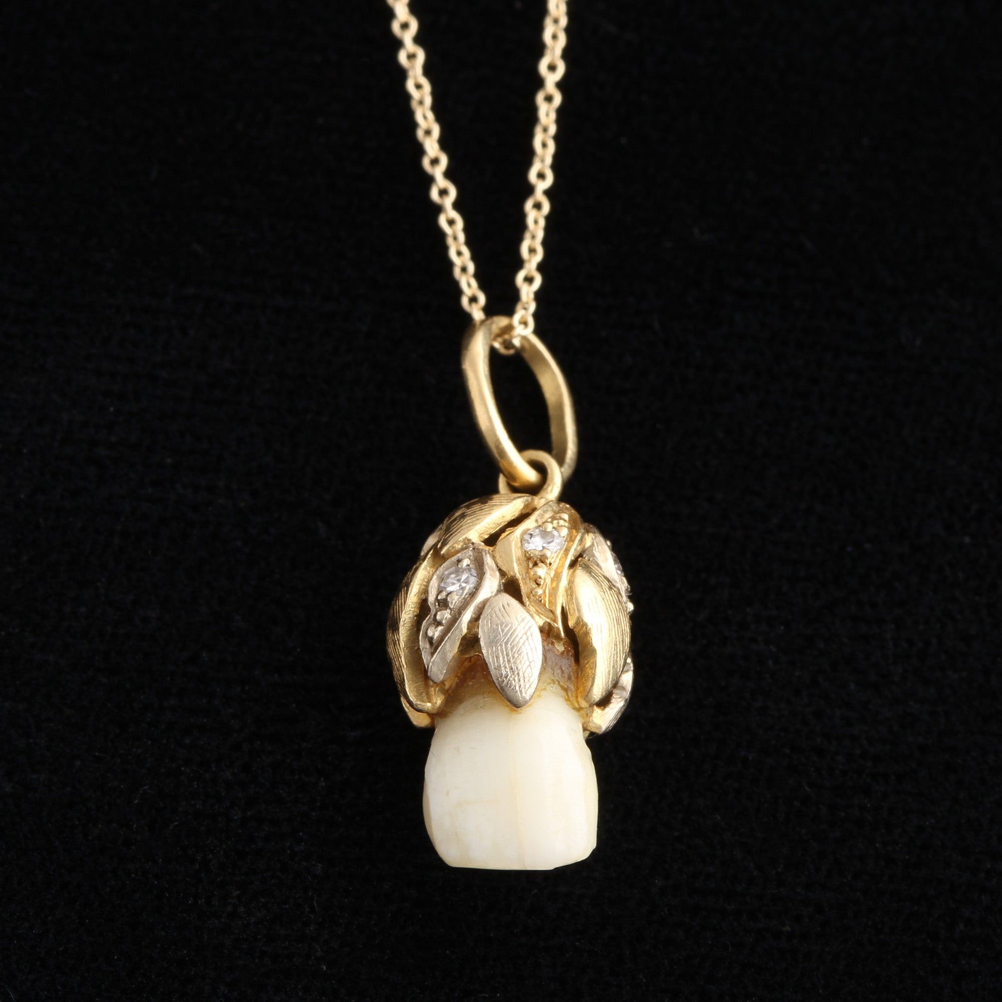 Early 20th Century Baby Tooth Pendant