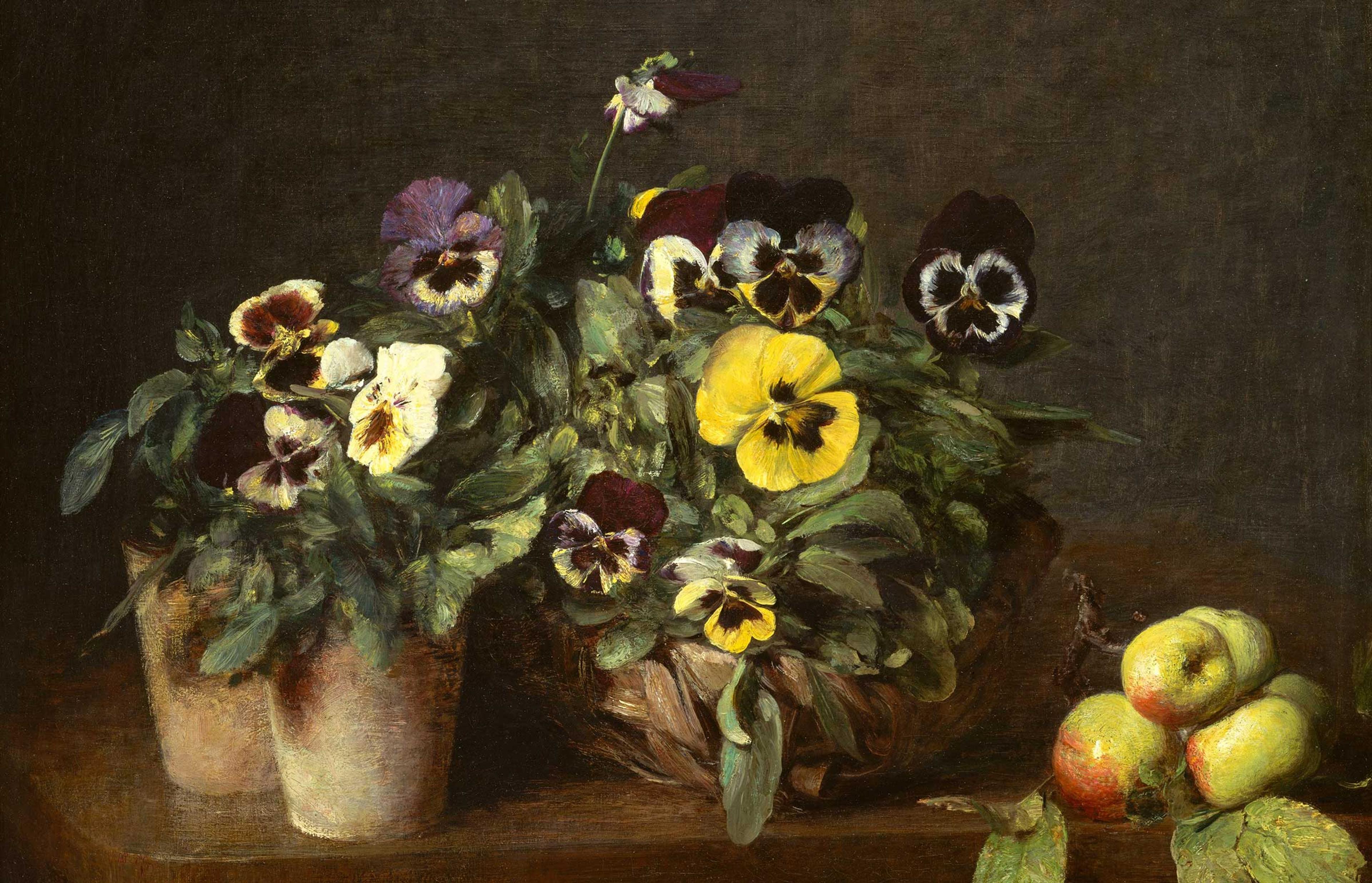 Pansies