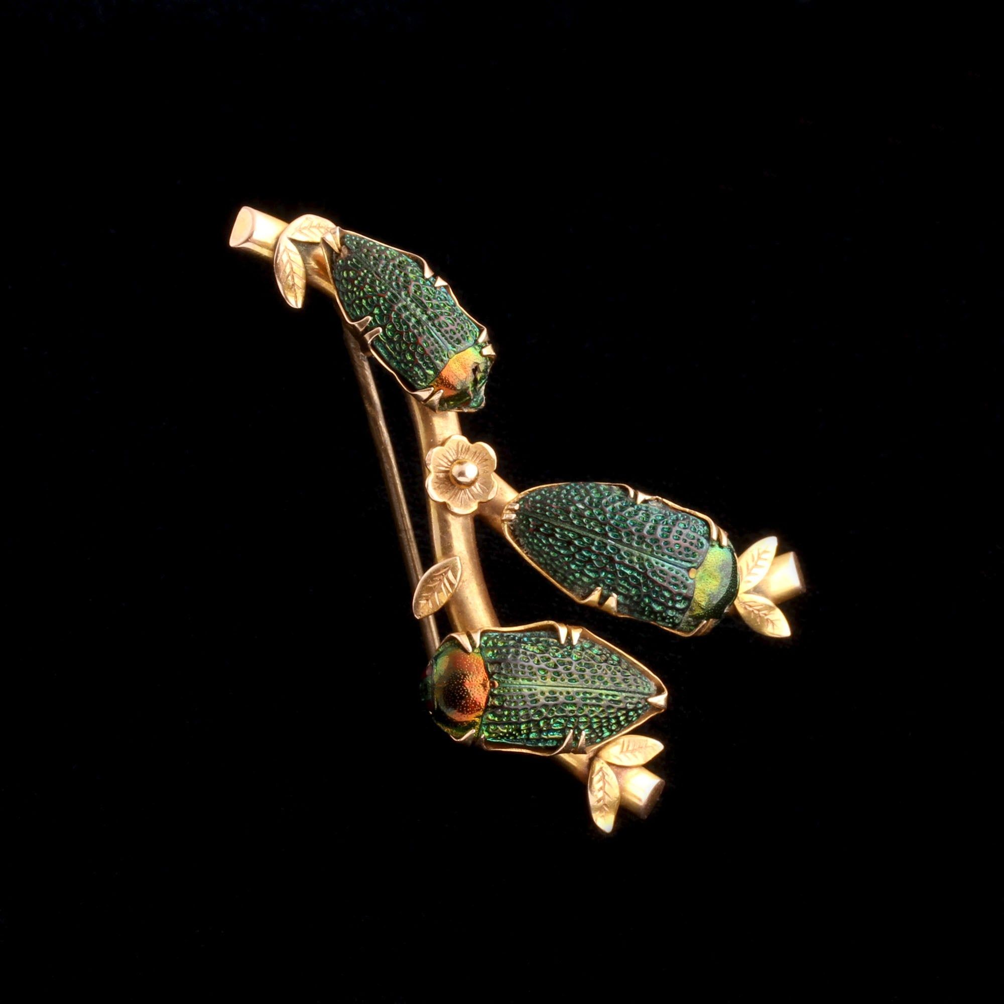 Victorian Scarab Beetle Brooch