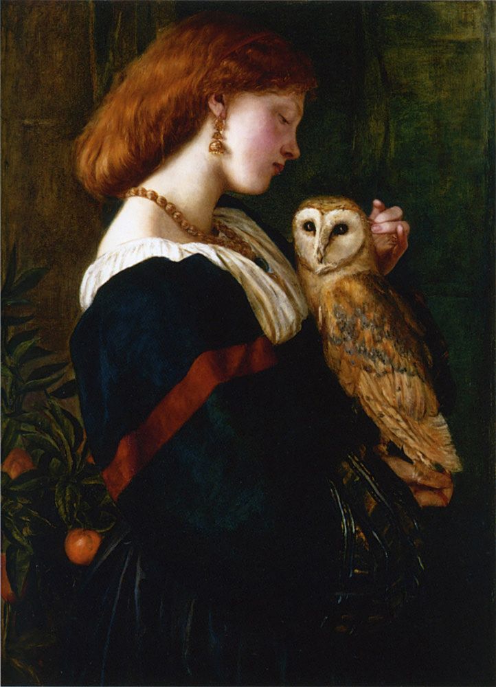 The Owl by Valentine Cameron, 1863.