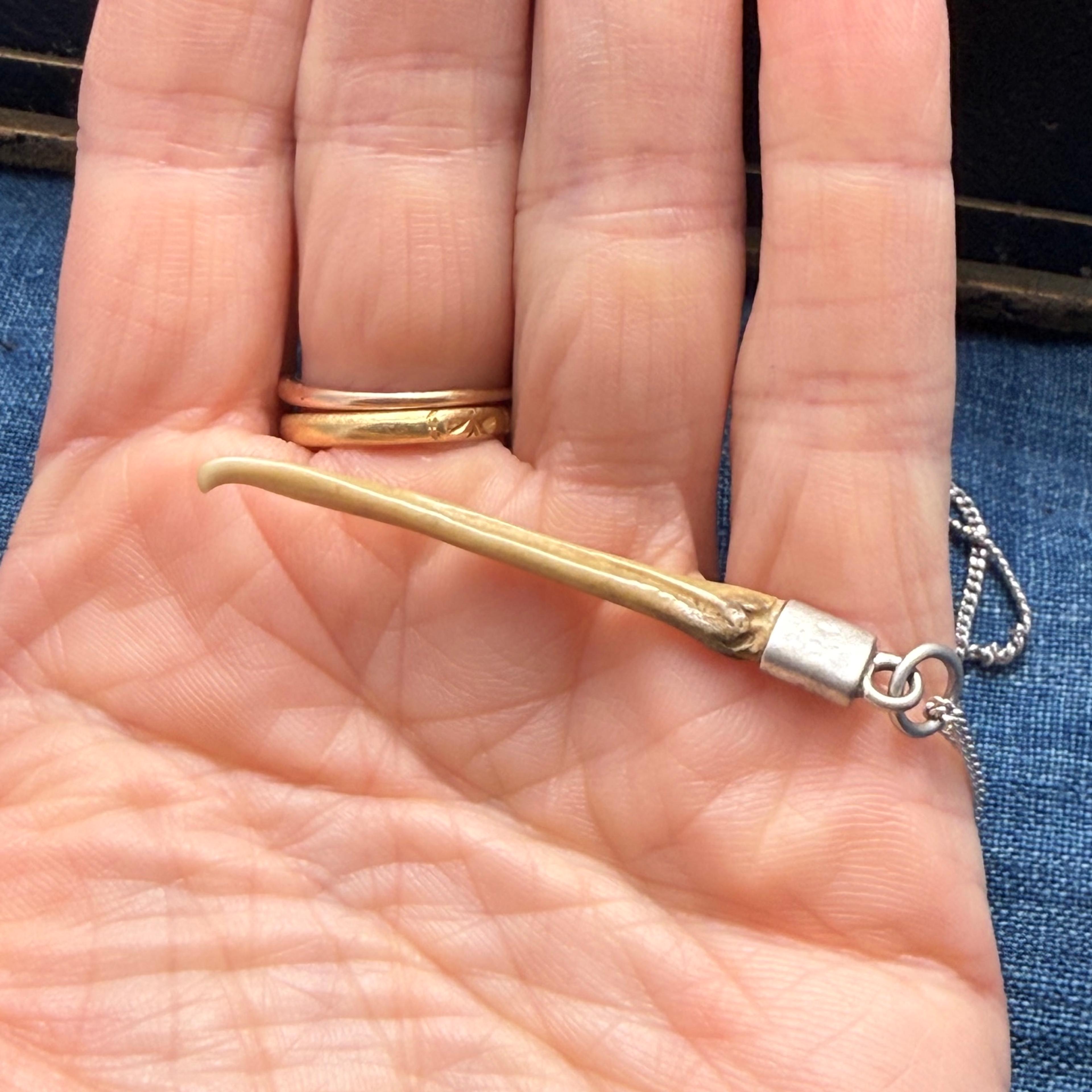Fox Baculum (Penis Bone) Bavarian Hunting Talisman