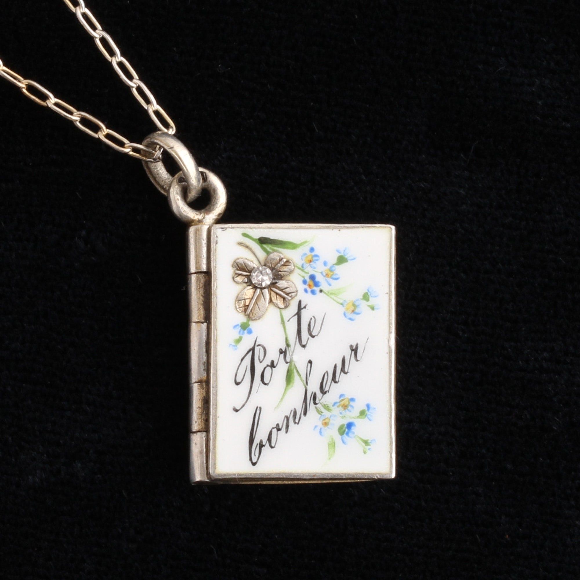 Edwardian Porte Bonheur & Lucky Pig Book Charm