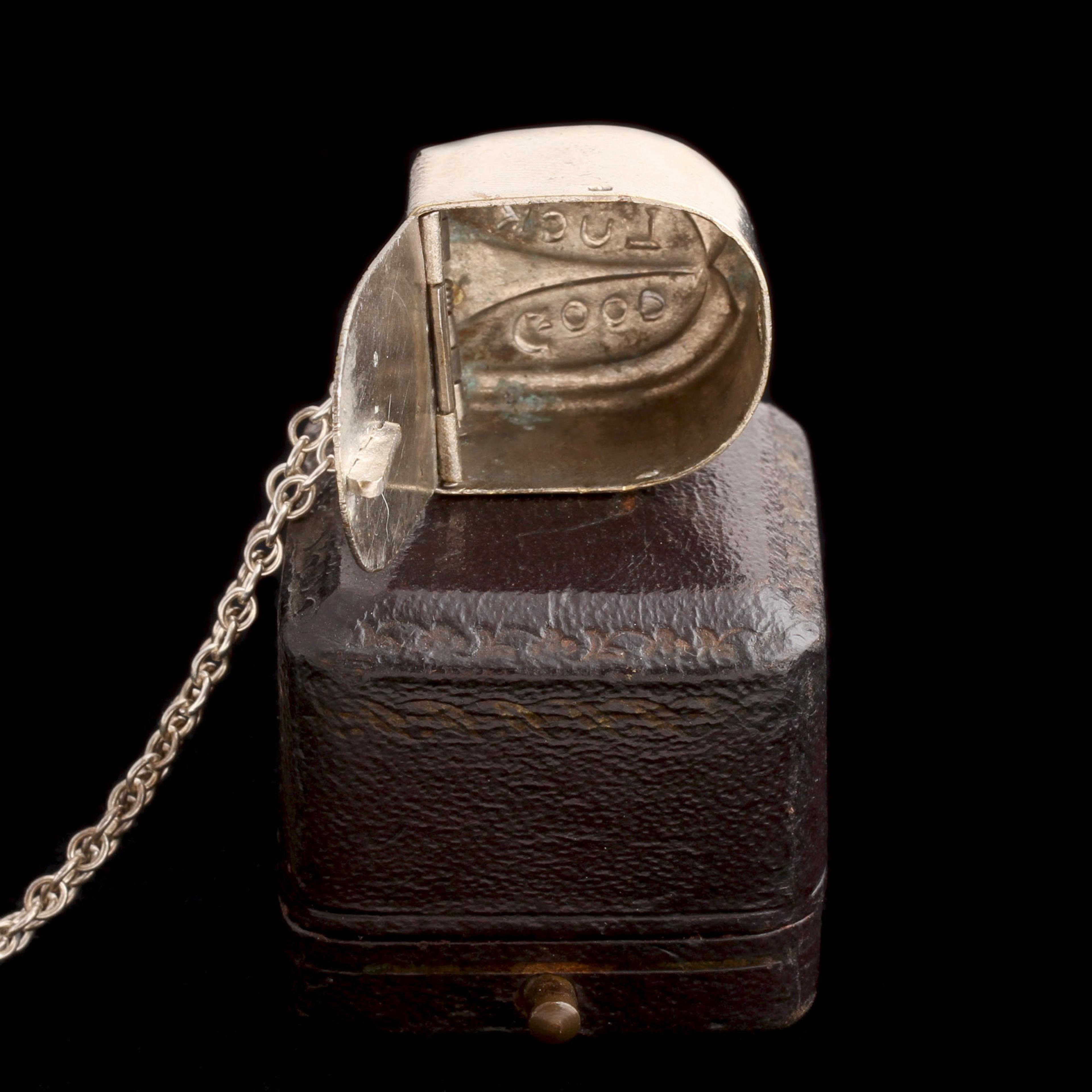 Edwardian Steel Horseshoe Box Necklace
