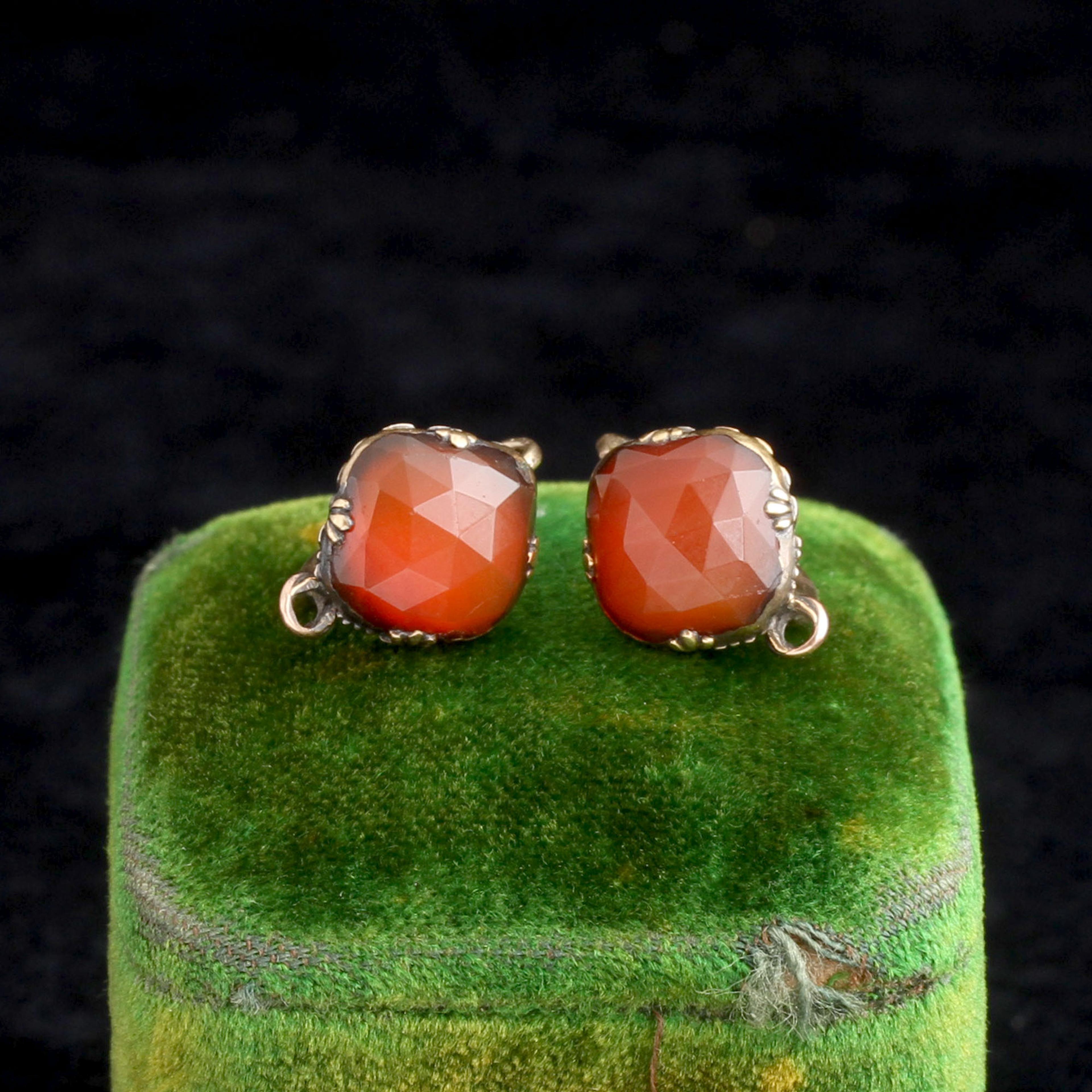 Georgian Quatrefoil Carnelian Shell Earrings 