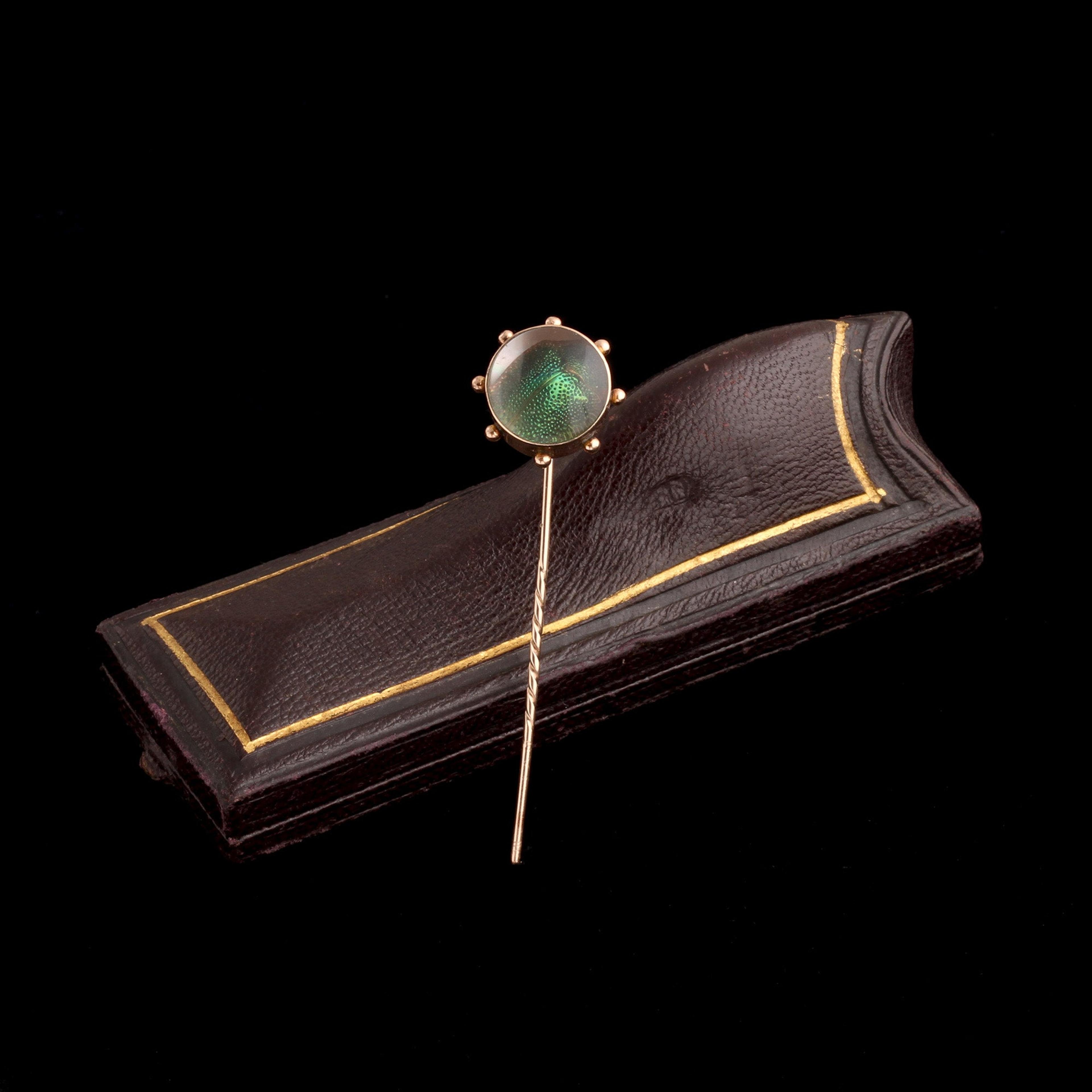 Detail of Victorian Scarab Beetle Stickpin beside original box