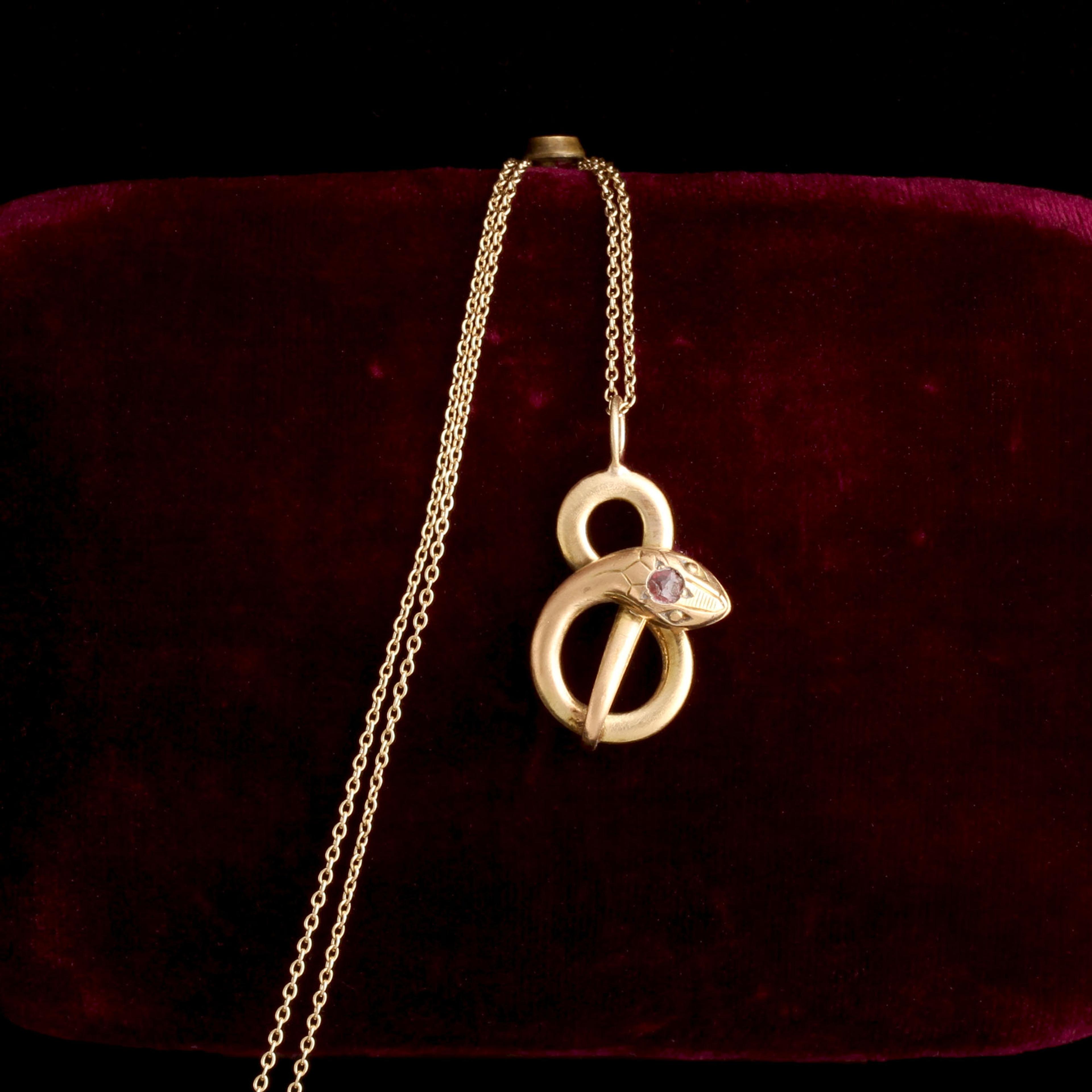 Detail of Victorian Infinity Knot Snake Necklace