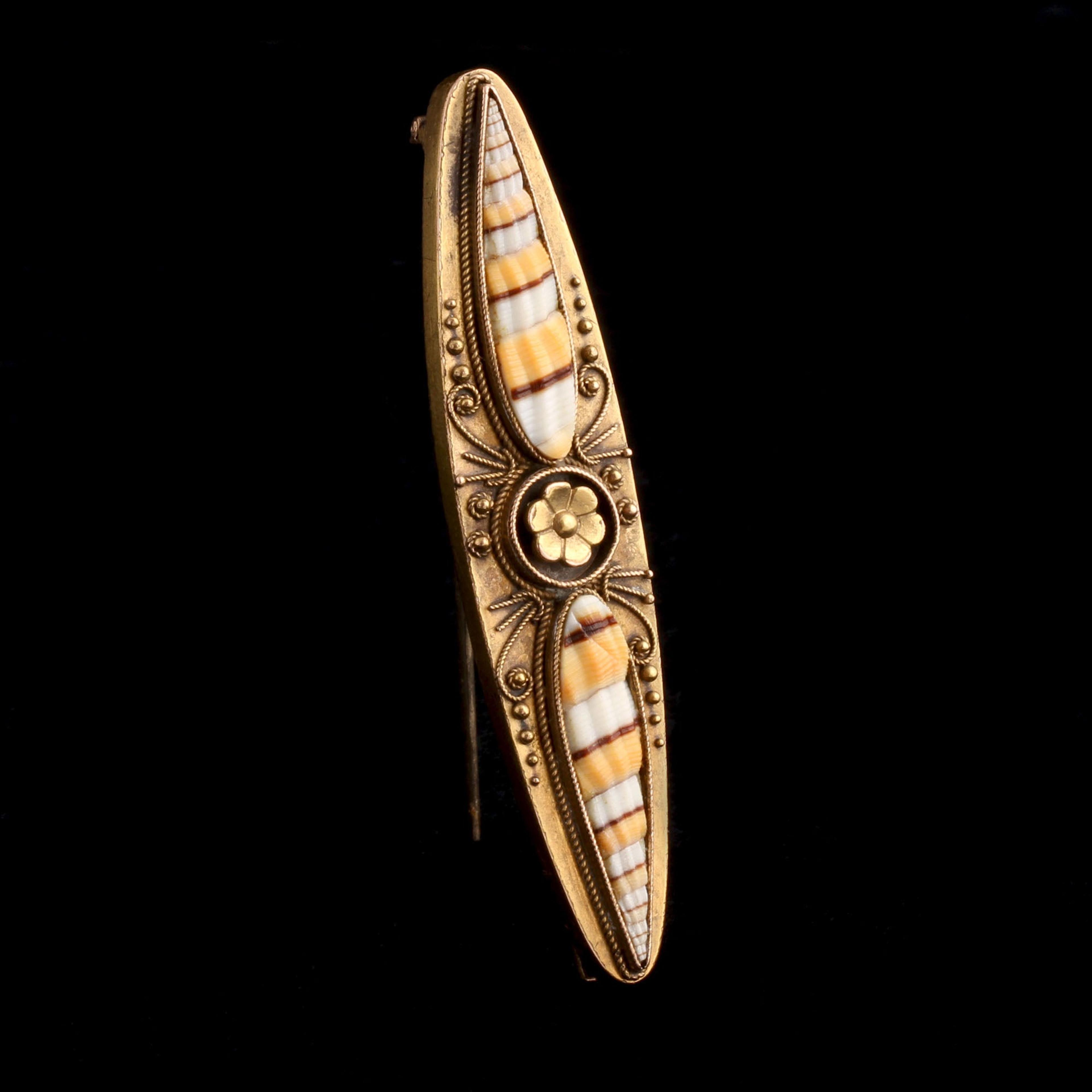 Etruscan Revival Seaside Shell Souvenir Pin