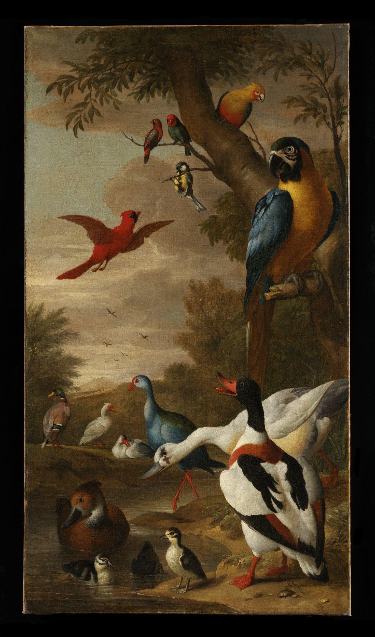 Bird Jewelry: Symbolism & Significance