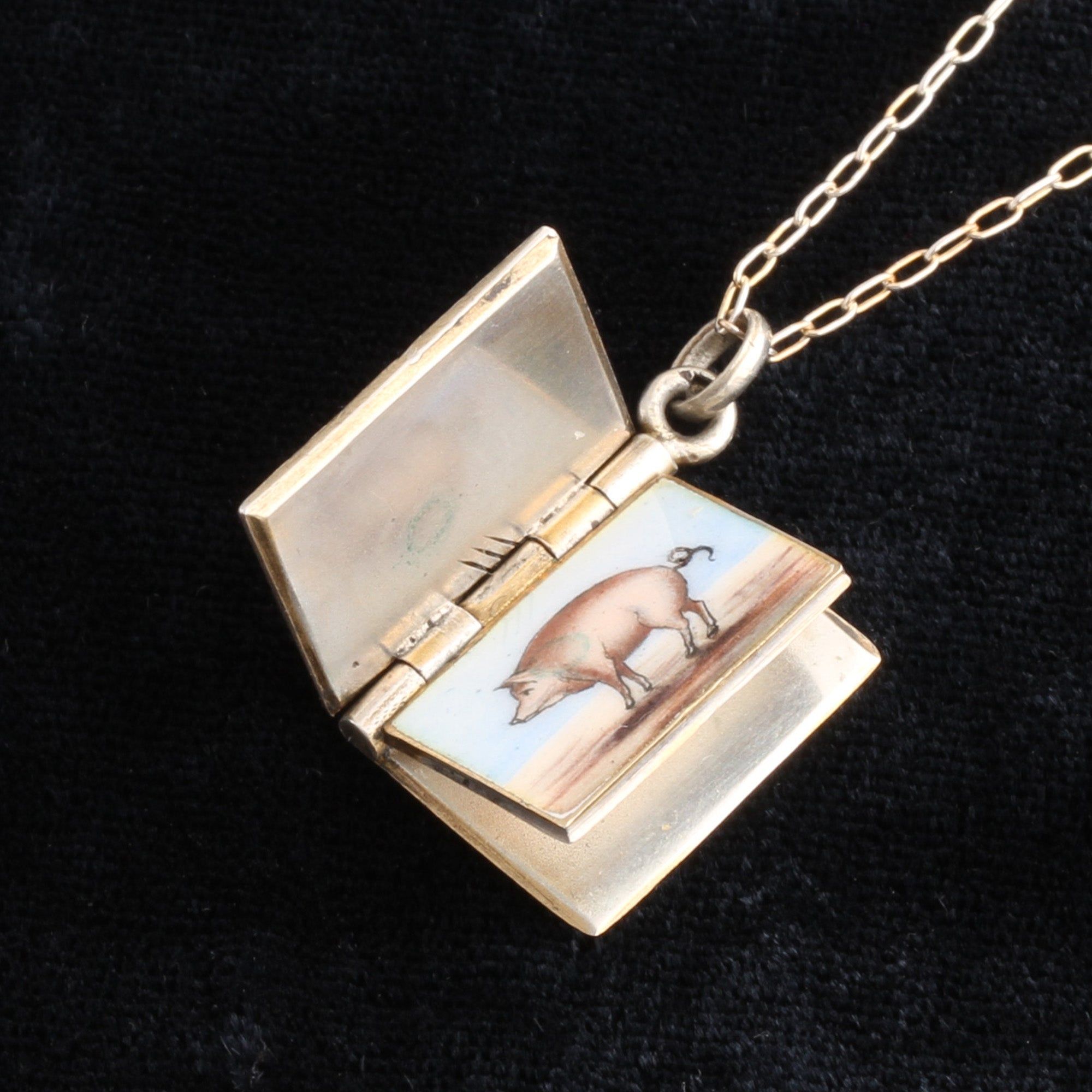 Edwardian Porte Bonheur & Lucky Pig Book Charm