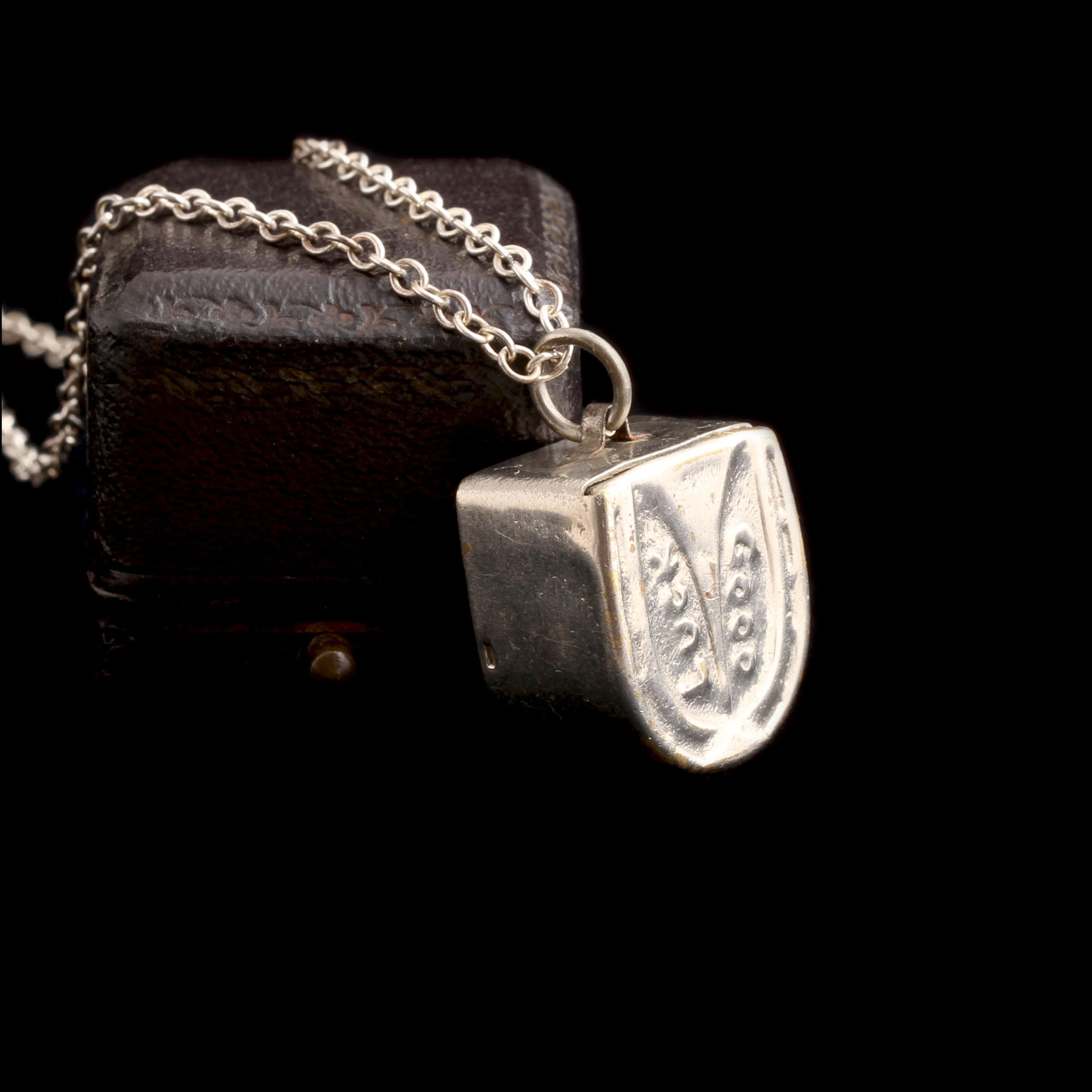 Edwardian Steel Horseshoe Box Necklace