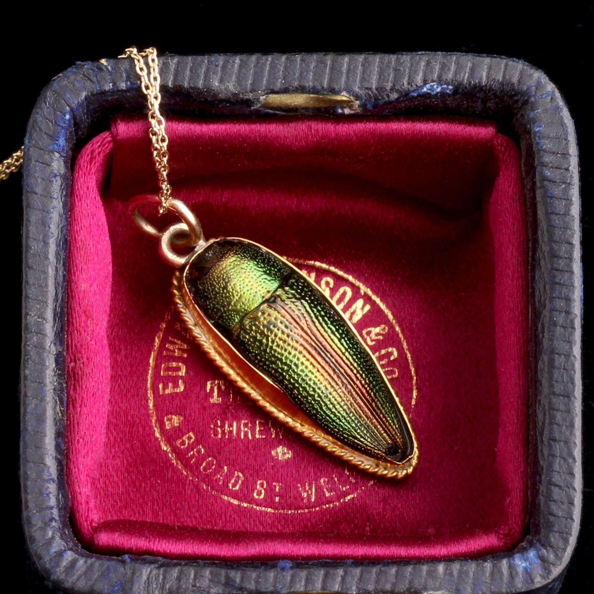 Victorian Gold-Mounted Beetle Necklace