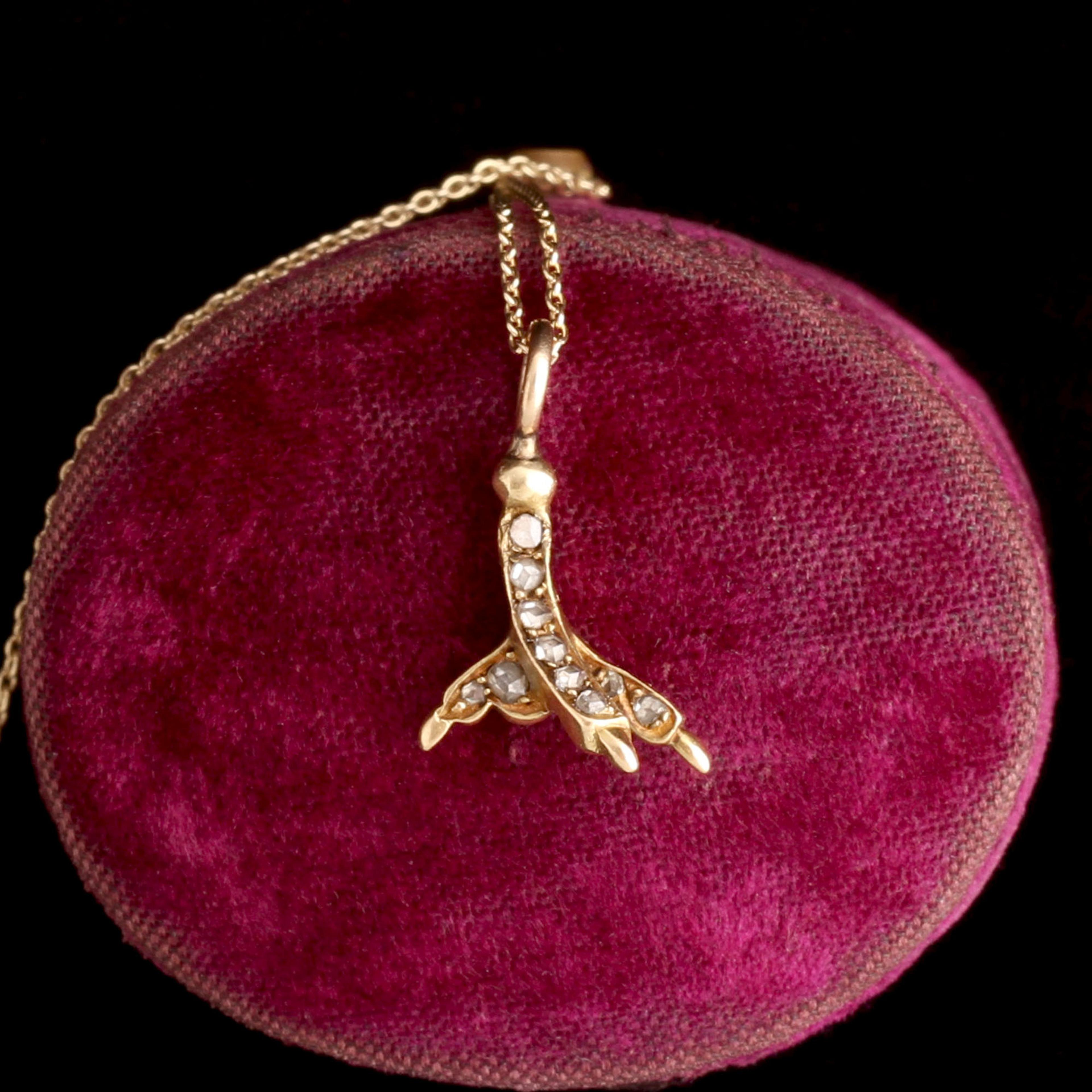 Victorian Diamond Claw Necklace