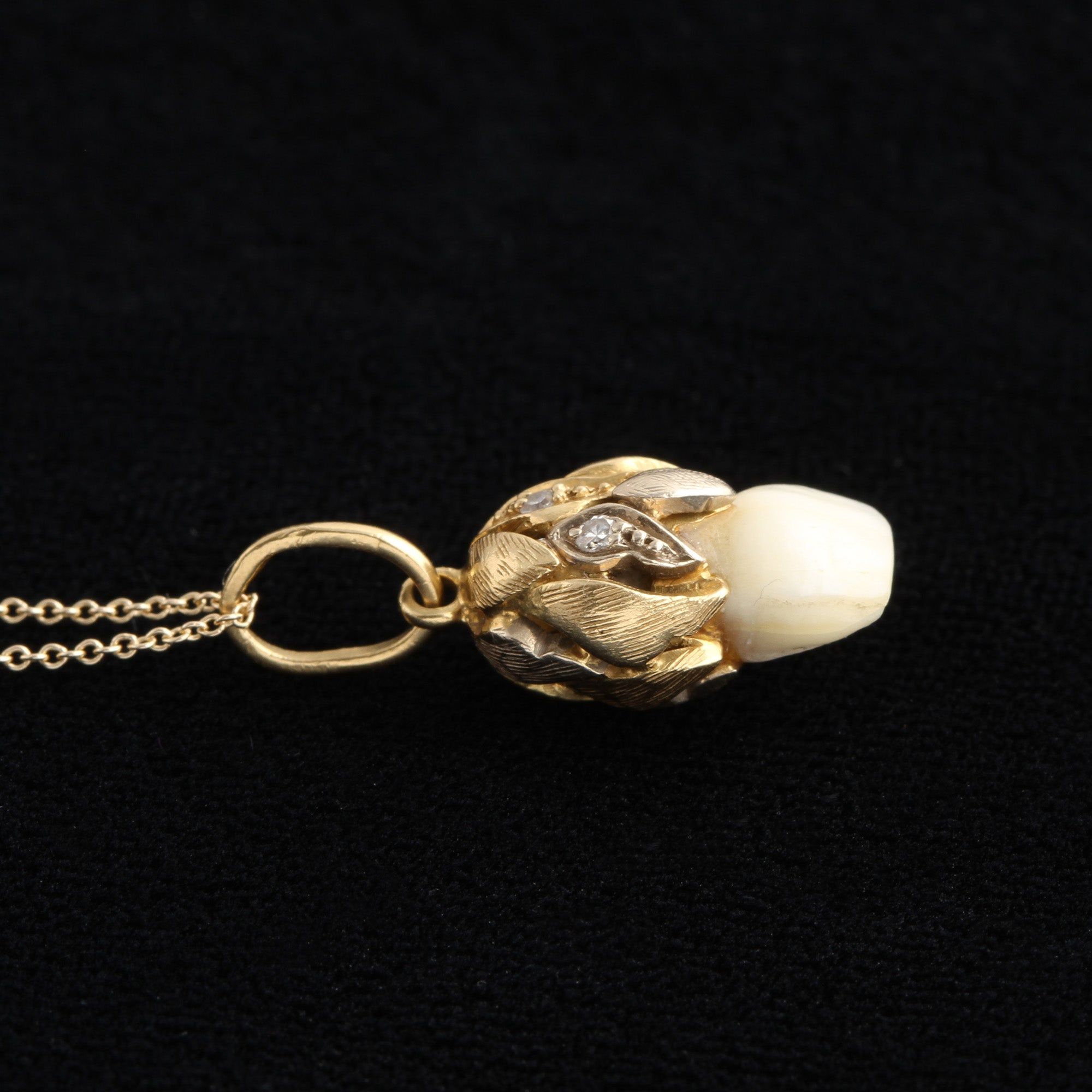 Early 20th Century Baby Tooth Pendant