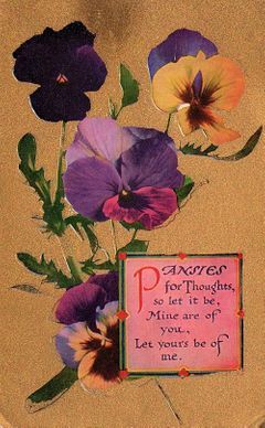 An antique floral greeting postcard of a pansy reading "Pansies for thoughts, so let it be, mine are of you, let yours be of me".
