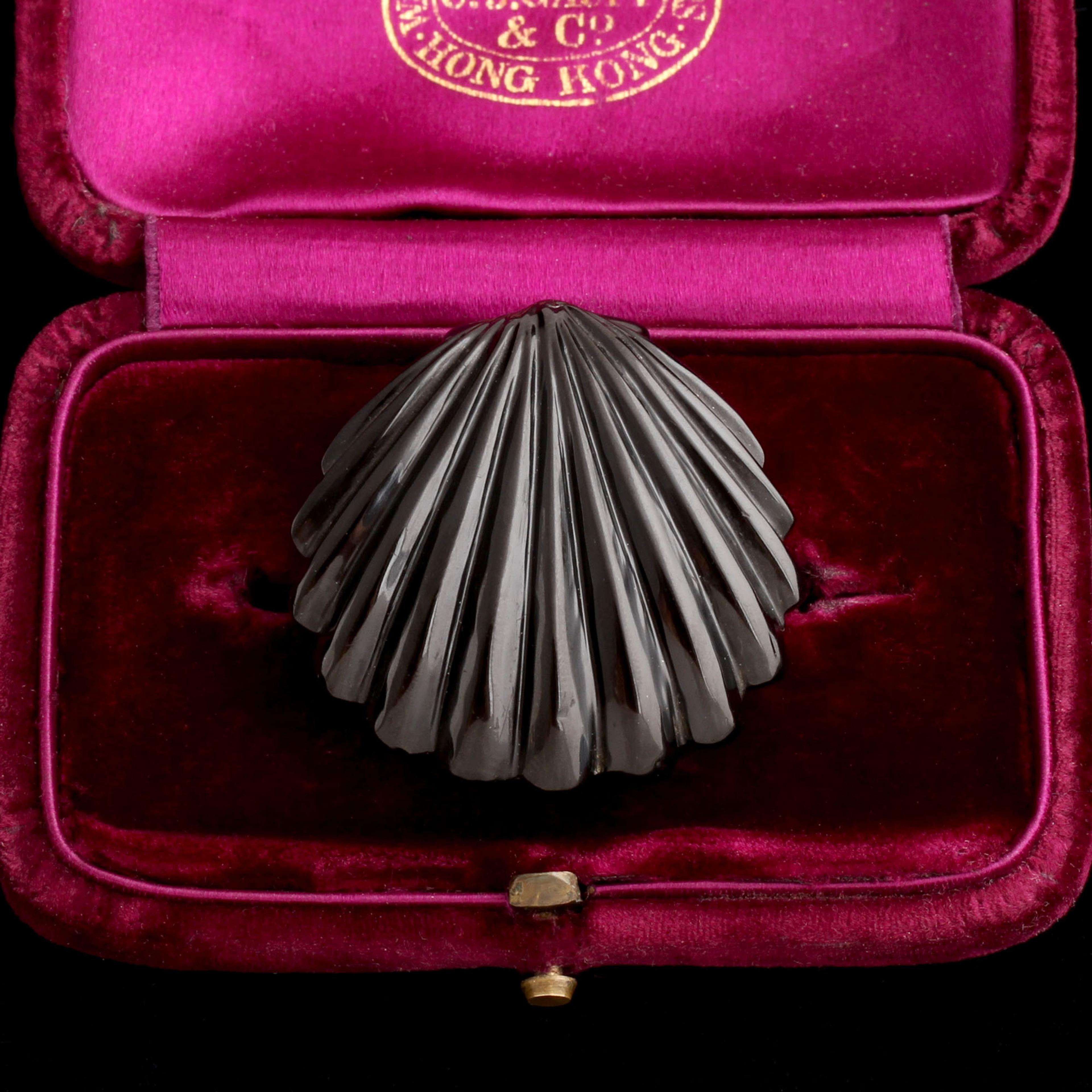 Victorian Carved Jet Shell Brooch