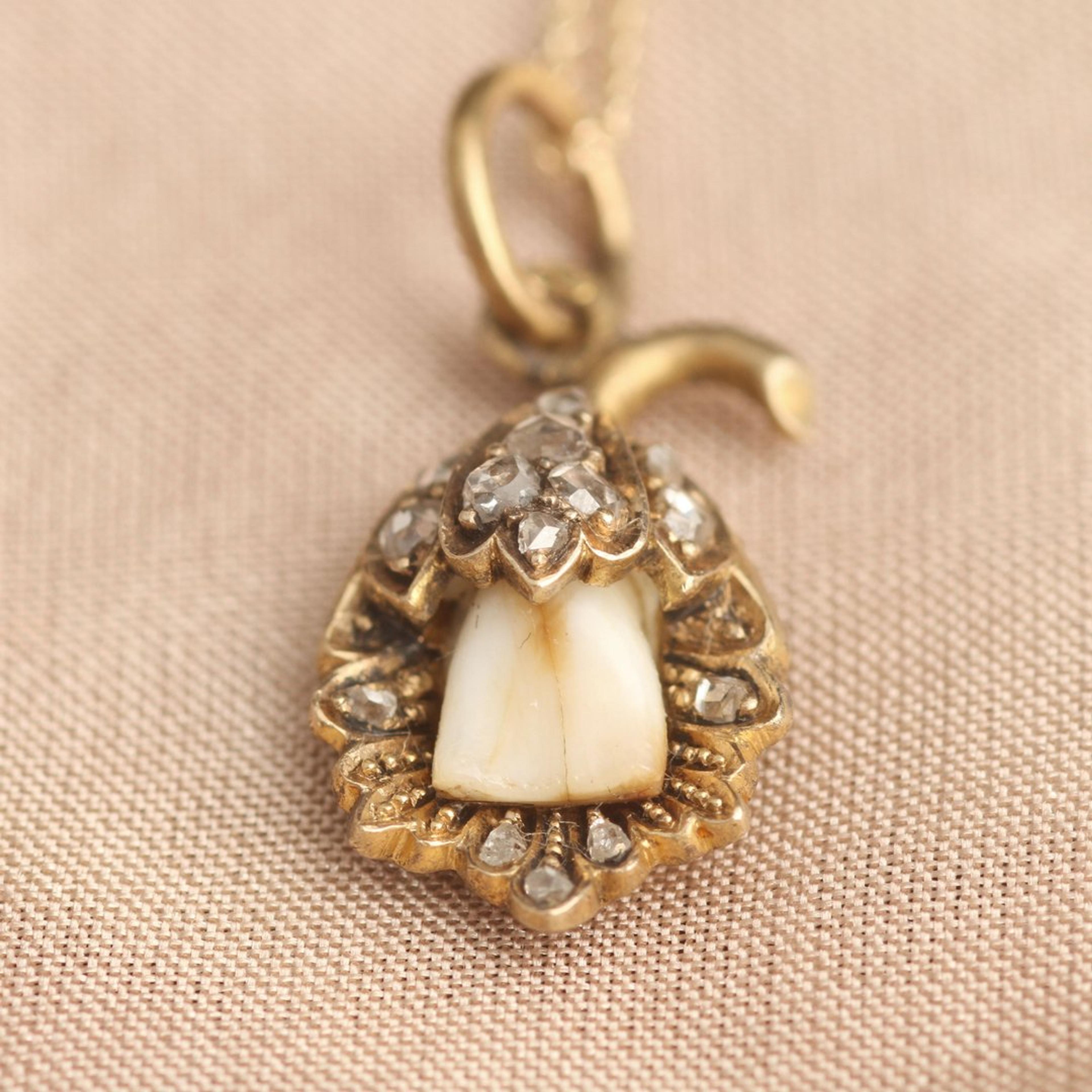 Detail of Victorian Milk Tooth in Ornate Floral Mounting with Rose Cut Diamonds