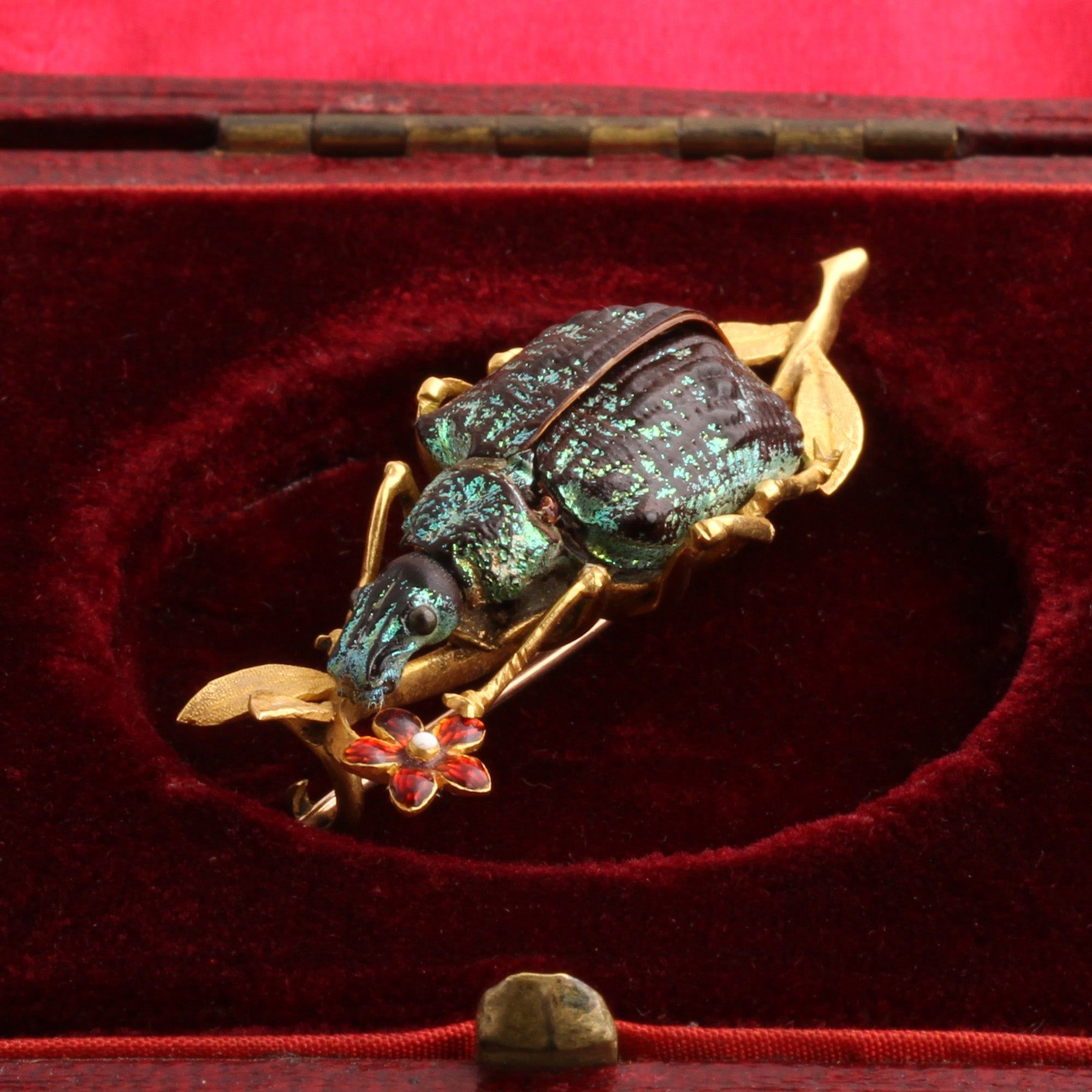 Victorian Beetle Brooch