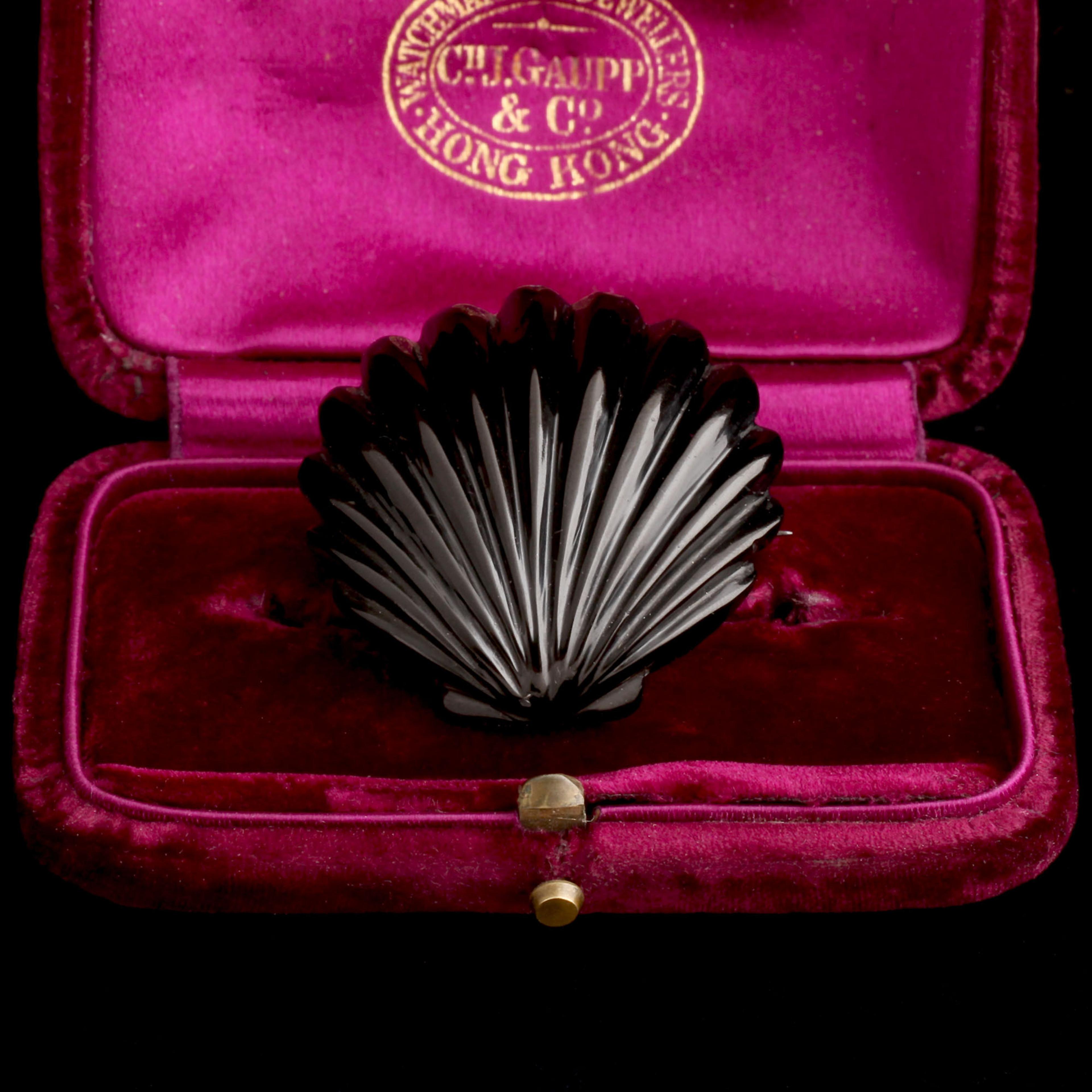 Victorian Carved Jet Shell Brooch