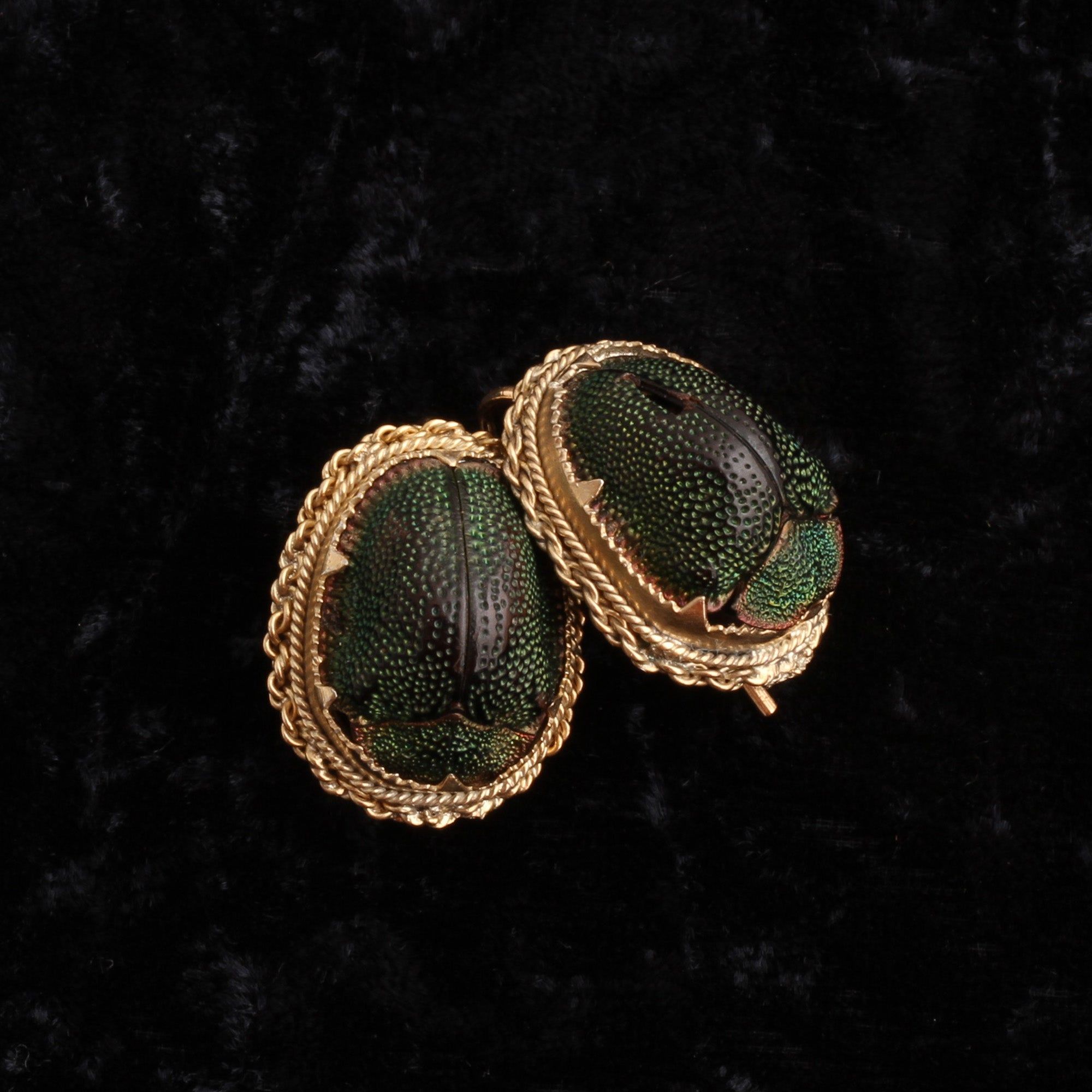 Victorian Scarab Beetle Earrings