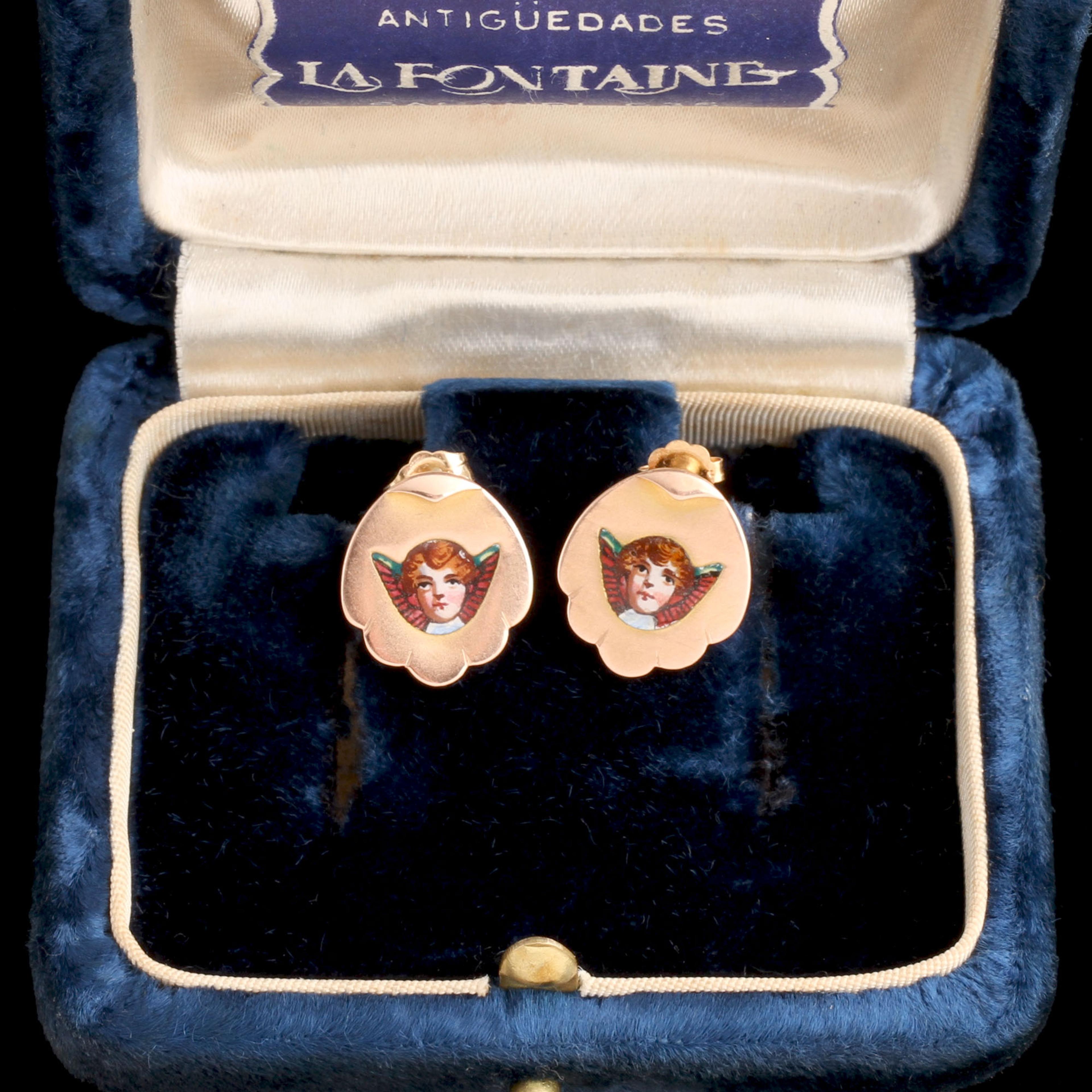 Edwardian Cherub Shell Studs