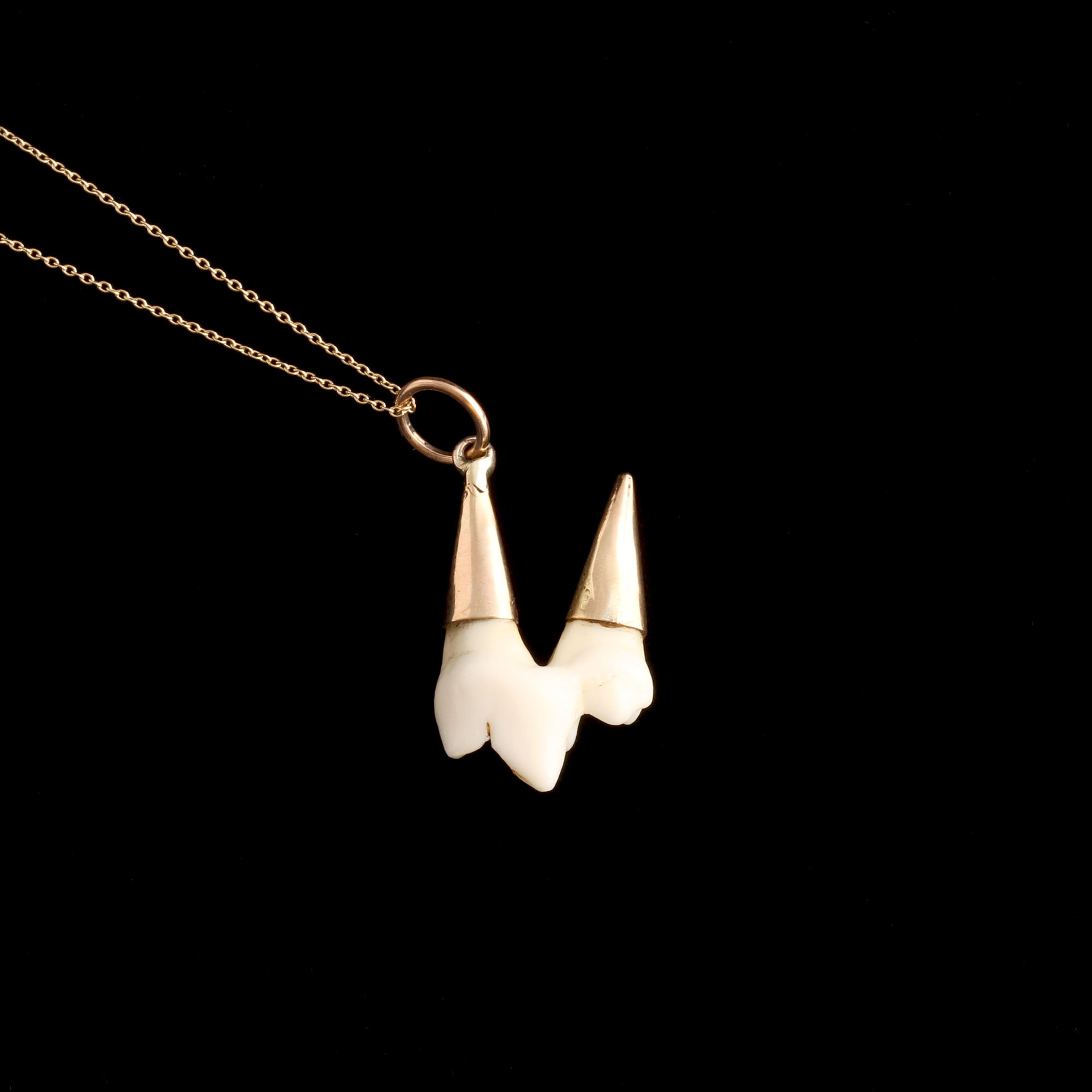Late Victorian Dog Tooth Necklace