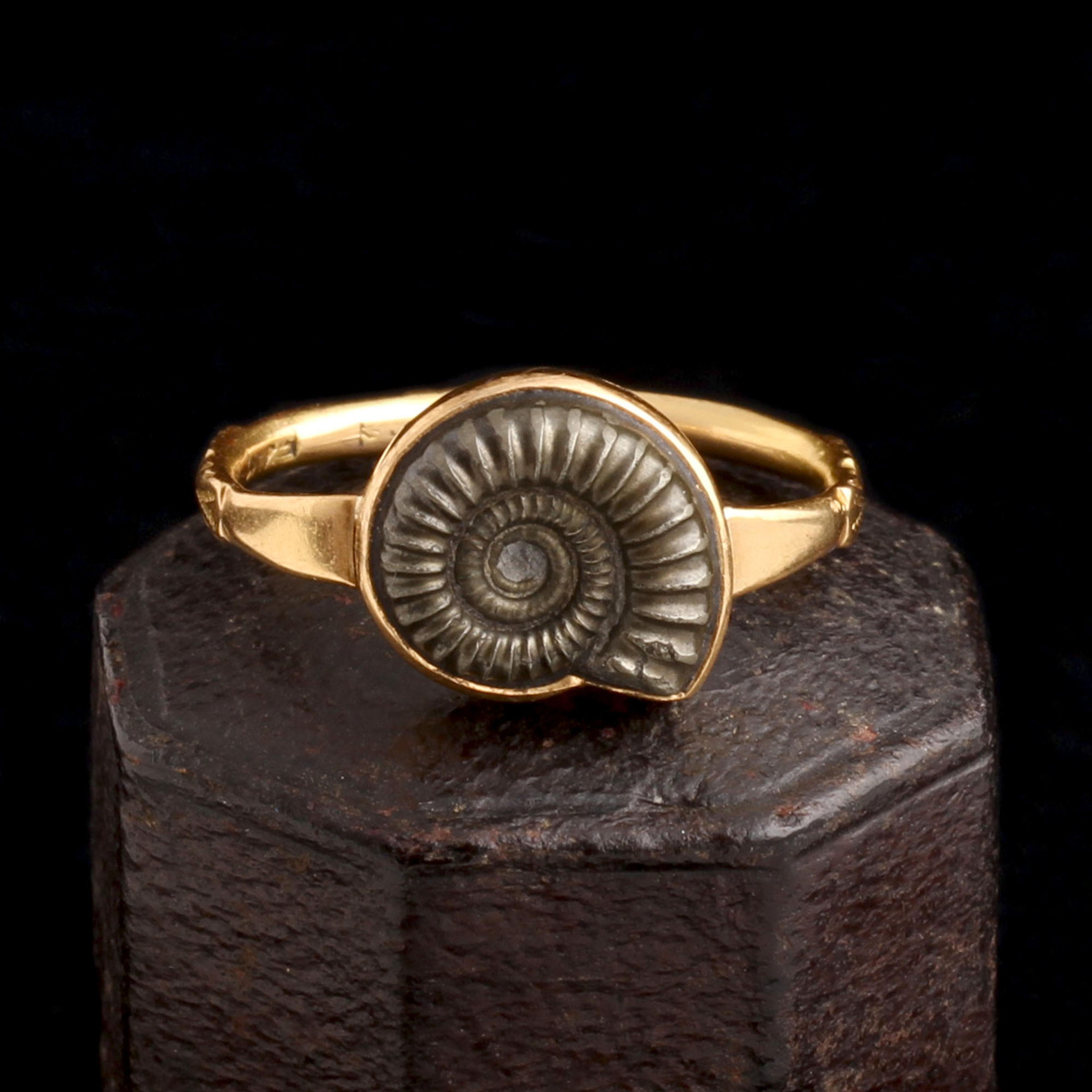 Vintage Ammonite Fossil Ring