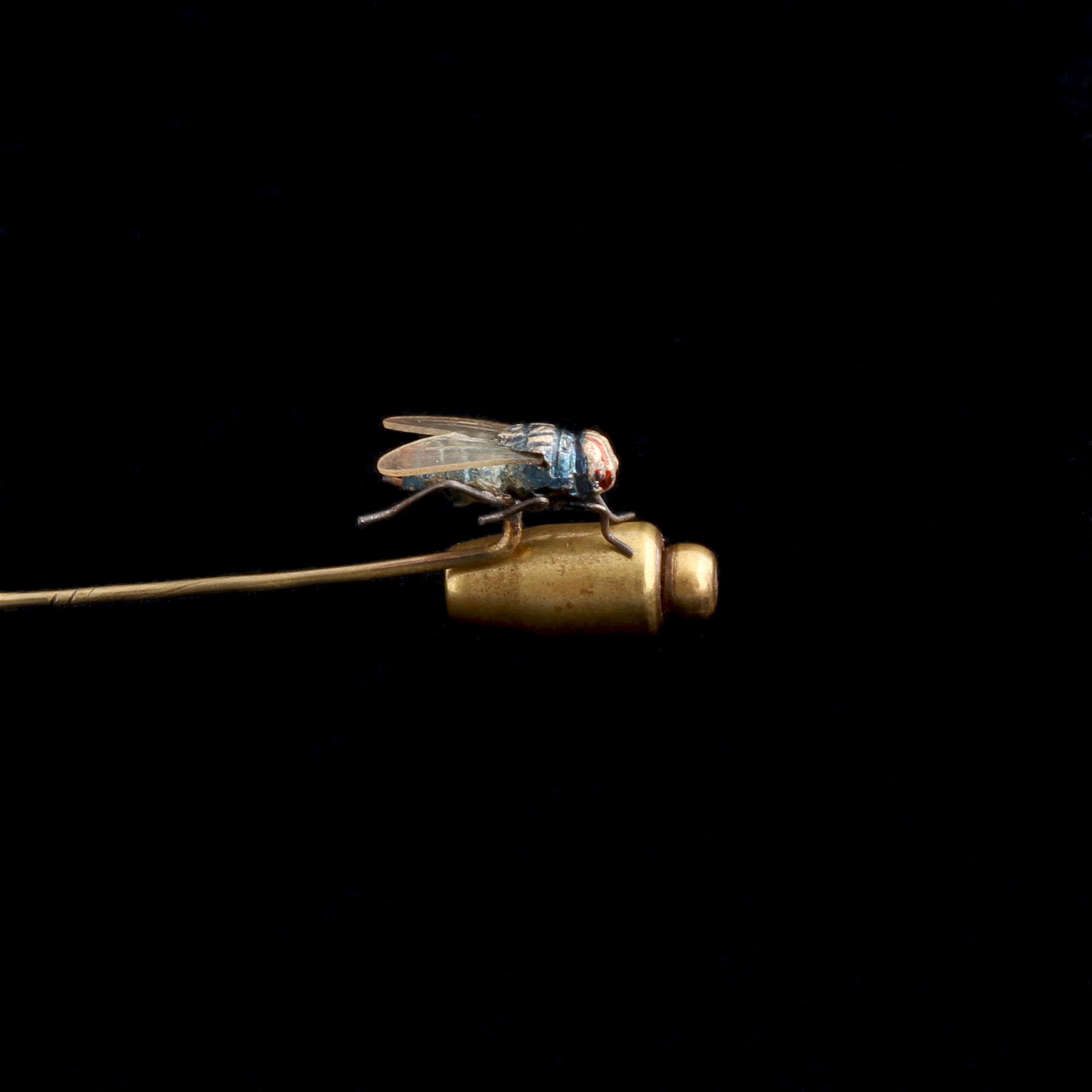 Early 20th Century Realistic Housefly Stickpin