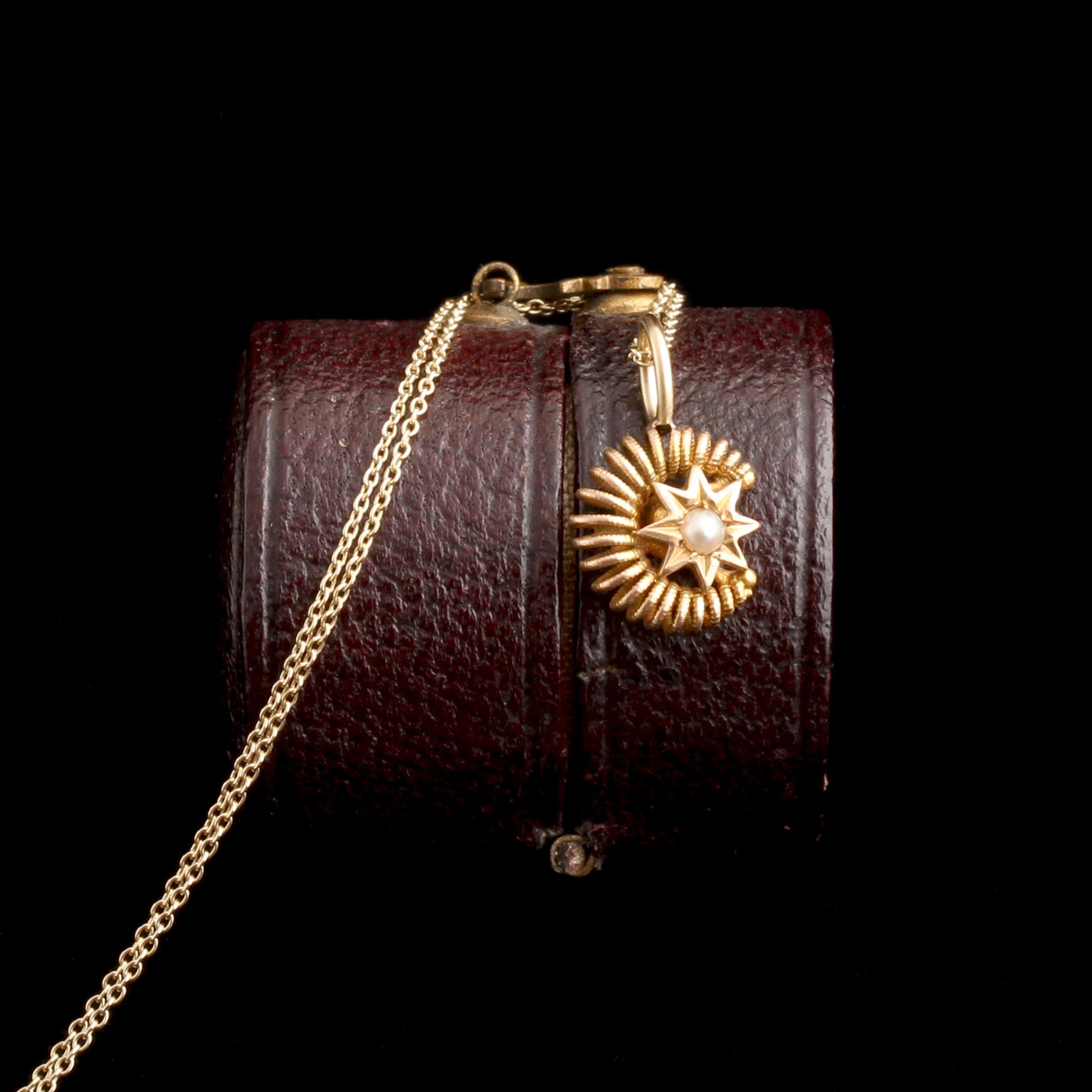 Victorian Coiled Crescent & Star Necklace