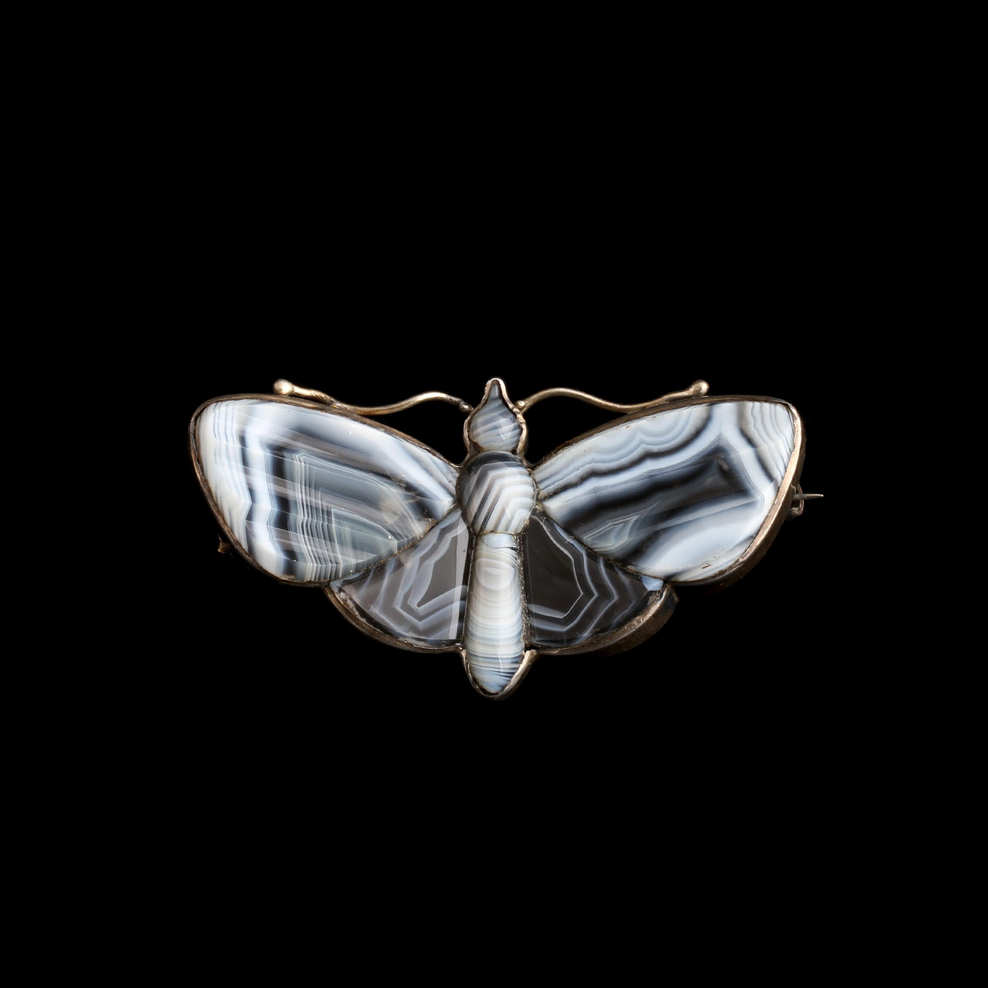 Victorian Agate Moth Brooch