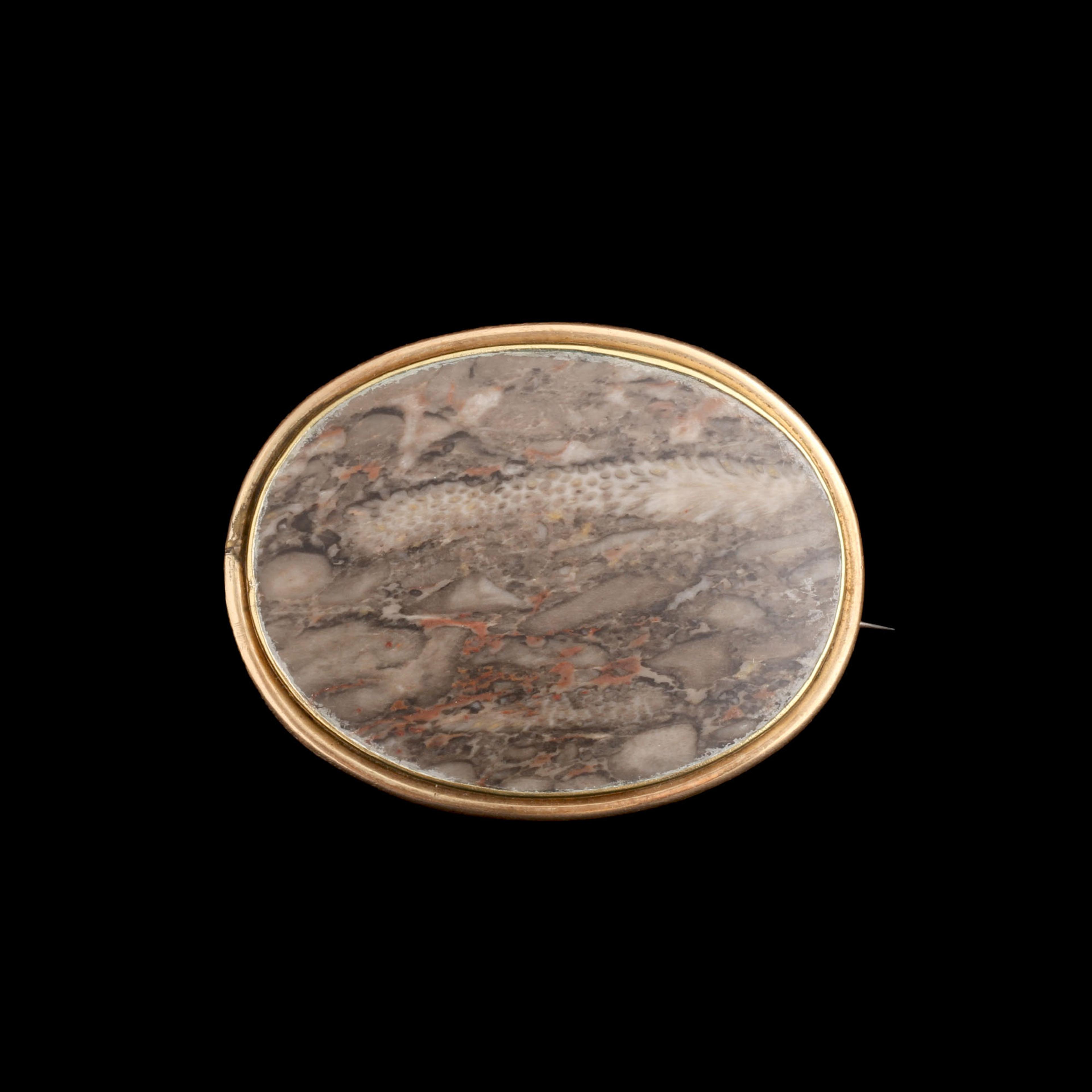 Victorian Massive Fossil Specimen Brooch